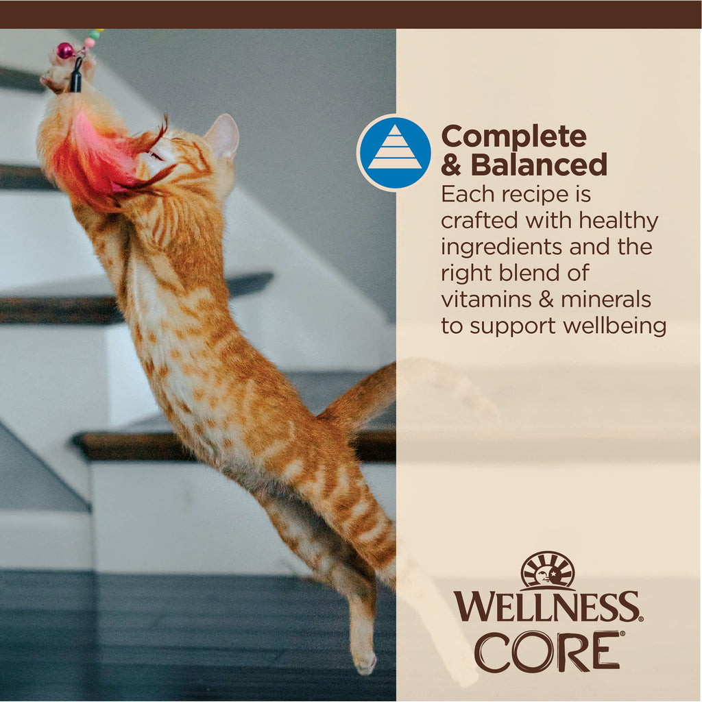 Wellness CORE Tiny Tasters Pate Adult Wet Cat Food, Natural, Protein Rich, Grain Free, Chicken Recipe, 1.75 oz, Pack of 12 Pouches