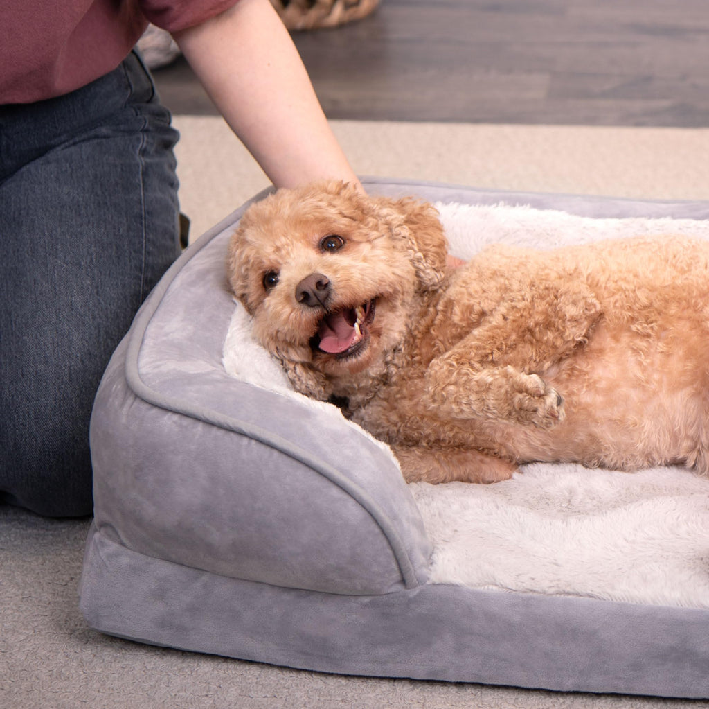 Furhaven Cooling Gel Dog Bed for Medium/Small Dogs w/ Removable Bolsters & Washable Cover, For Dogs Up to 35 lbs - Plush & Velvet Waves Perfect Comfort Sofa - Brownstone, Medium