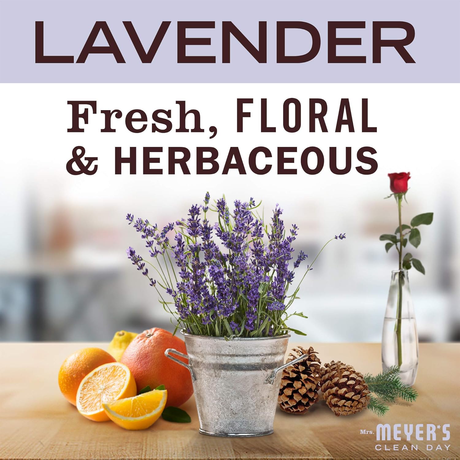 MRS. MEYER'S CLEAN DAY Foaming Hand Soap Concentrated Refills, 4 Concentrated Refills (2 Fl. Oz each), Lavender Scent, Makes 40 Fl. Oz. of Foaming Soap Total