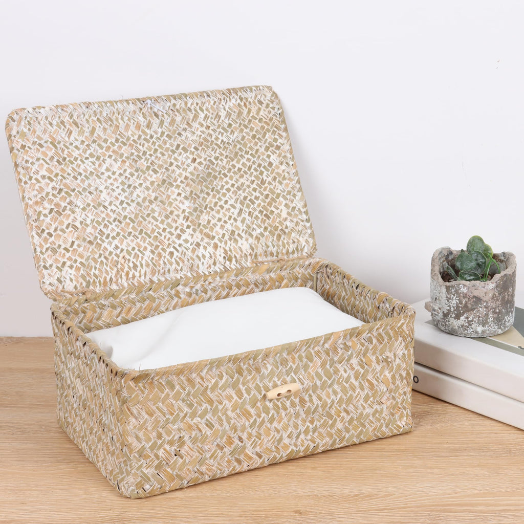 FEIALNDUO Wicker Shelf Baskets with Lid,Seagrass Storage Basket Bins Rectangular Handwoven Basket Boxes for Shelves Desktop Home Organizer (Coffee, X-Small)