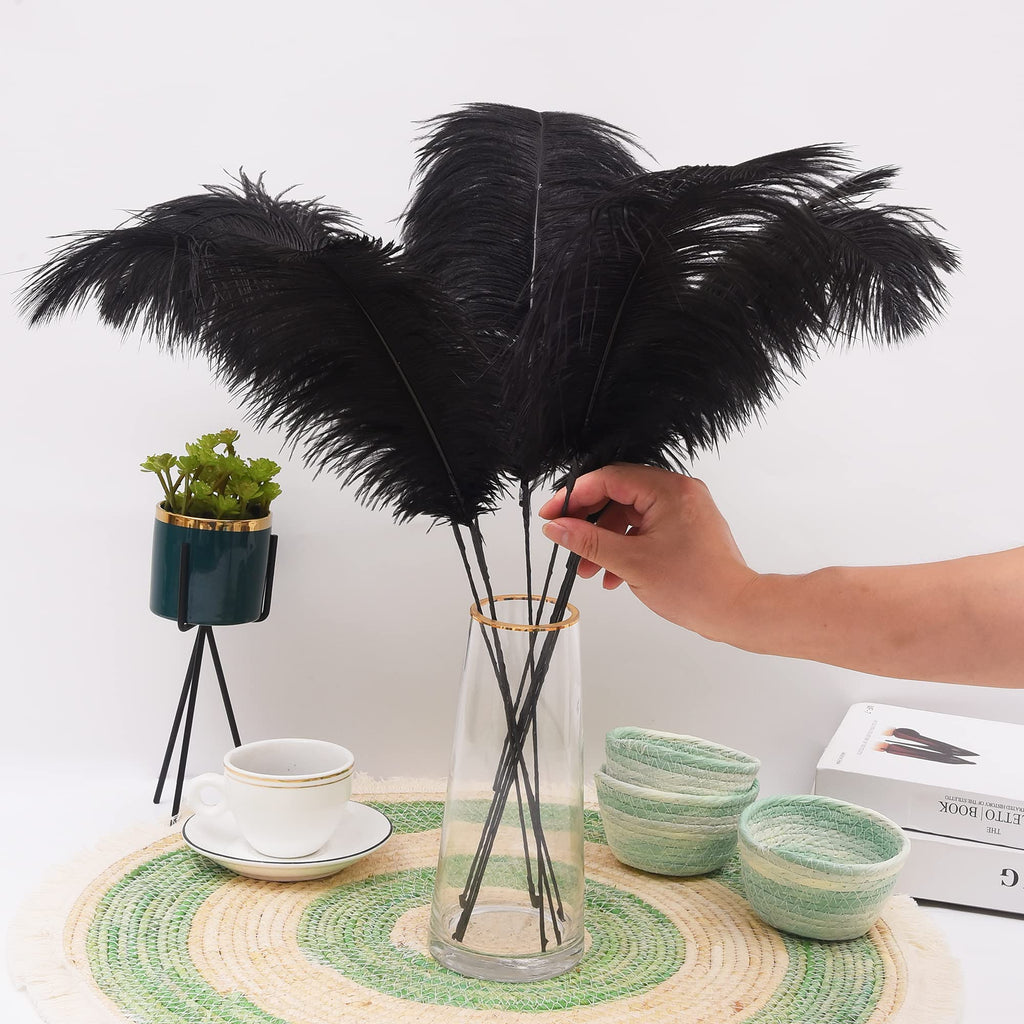 Ballinger Black Ostrich Feathers Bulk - Making Kit 12Pcs 16-18inch Large Ostrich Feathers for Floral Arrangement, Vase, Wedding Party Centerpieces and Halloween Home Decor