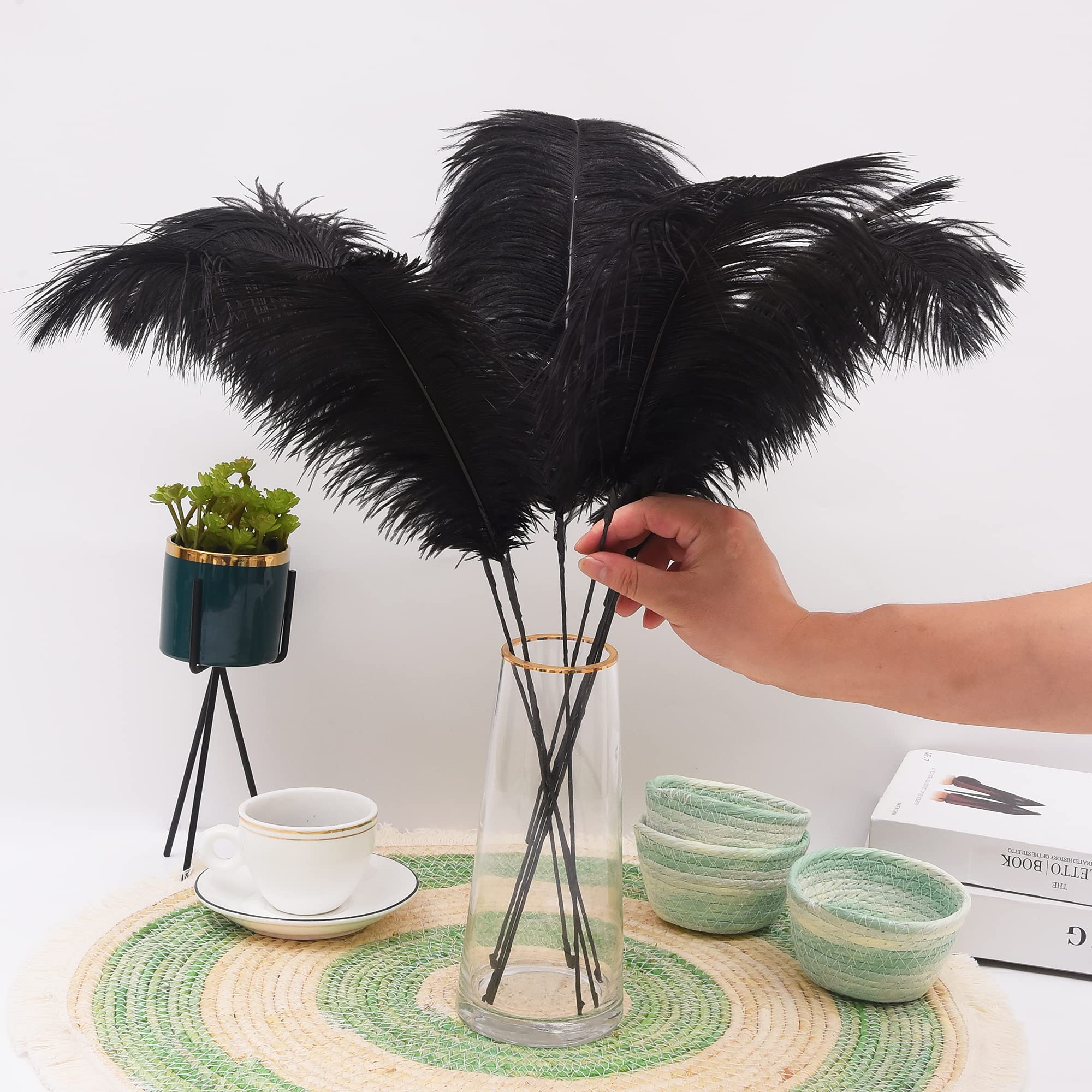 Ballinger Black Ostrich Feathers Bulk - Making Kit 12Pcs 16-18inch Large Ostrich Feathers for Floral Arrangement, Vase, Wedding Party Centerpieces and Halloween Home Decor