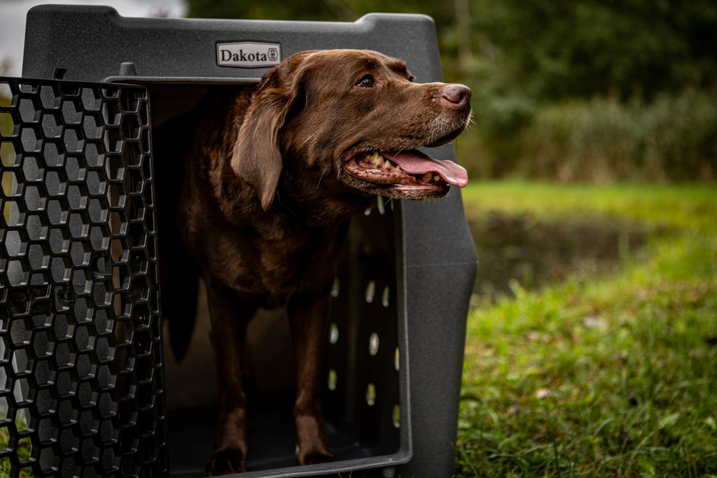 Dakota 283 Canine Rough and Tough Economy Dog Crate w/ Removable Two-Way Door - Heavy Duty Outdoor Kennel for Medium Breed Dogs (Coyote Granite, Intermediate)