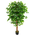 OXLLXO 5ft Artificial Ficus Silk Tree (60in) with Plastic Nursery Pot Faux Tree, Fake Plant for Office House Farmhouse Living Room Home Decor (Indoor/Outdoor)