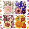 MIKIYA 98Pcs Pressed Dried Flowers for Resin Molds, Real Natural Bulk Big Dry Floral Leave for DIY Art Crafts, Epoxy Jewelry, Candle, Soap Making, Nails Decors
