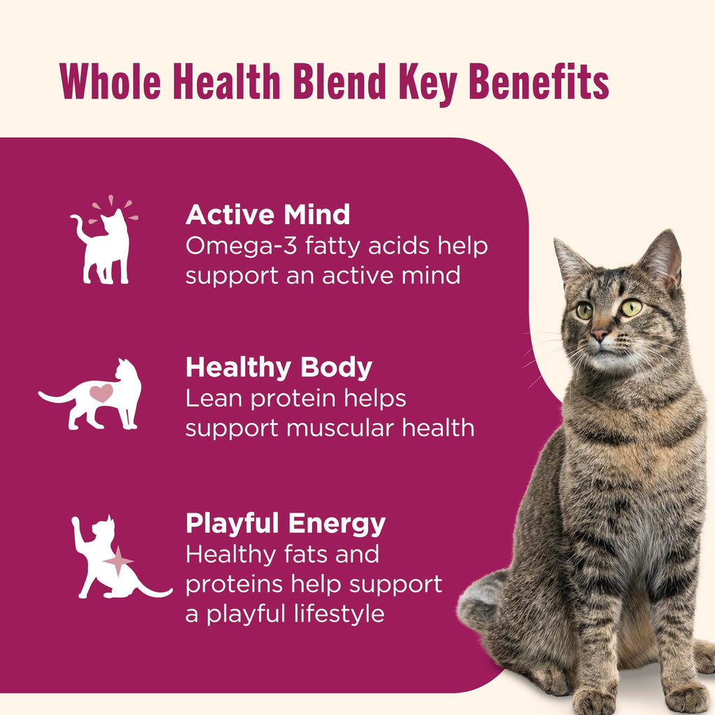 Nutrish Grain Free Wet Cat Food Ocean Fish-A-Licious Whole Health Blend with Real Flaked Ocean Fish & Tuna in Sauce, 2.8 oz. Cup (Rachael Ray) (Pack of 12)