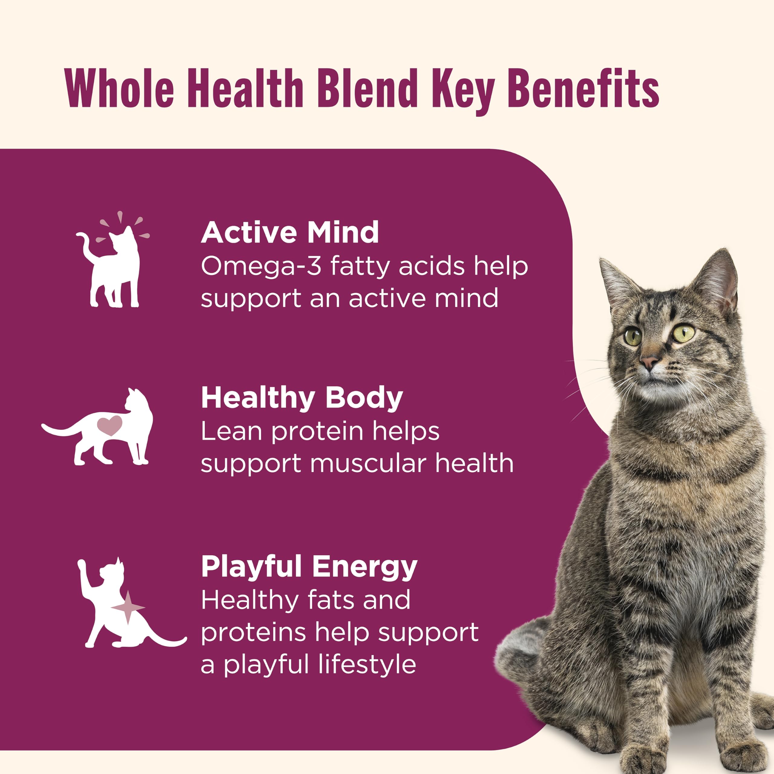 Nutrish Grain Free Wet Cat Food Ocean Fish-A-Licious Whole Health Blend with Real Flaked Ocean Fish & Tuna in Sauce, 2.8 oz. Cup (Rachael Ray) (Pack of 12)