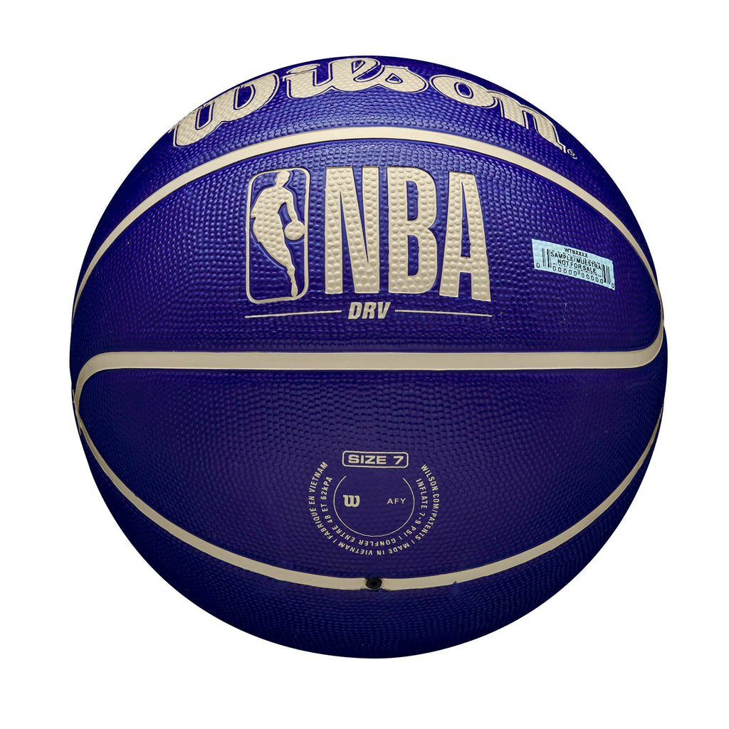 WILSON NBA DRV Outdoor Basketball - Indigo/Beige, Size 5-27.5"