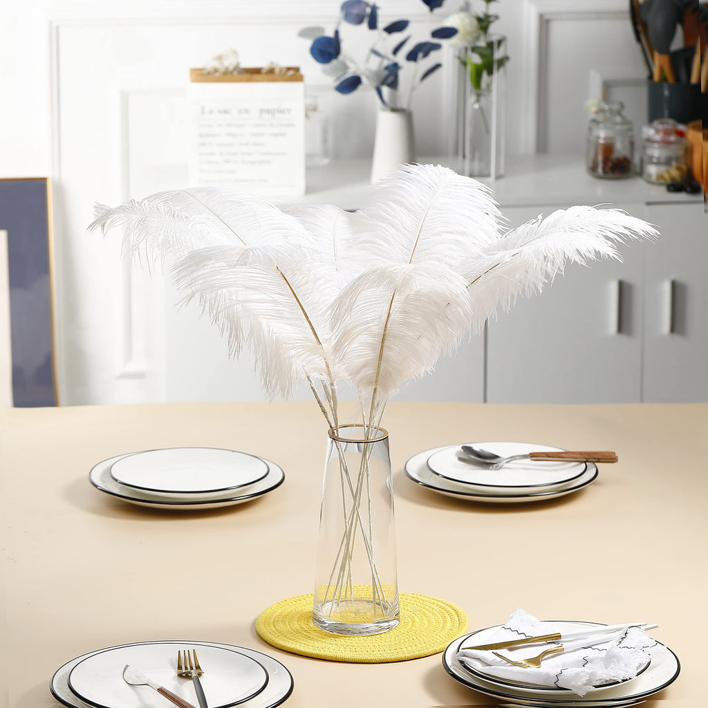 Ballinger Black Ostrich Feathers Bulk - Making Kit 12Pcs 16-18inch Large Ostrich Feathers for Floral Arrangement, Vase, Wedding Party Centerpieces and Halloween Home Decor