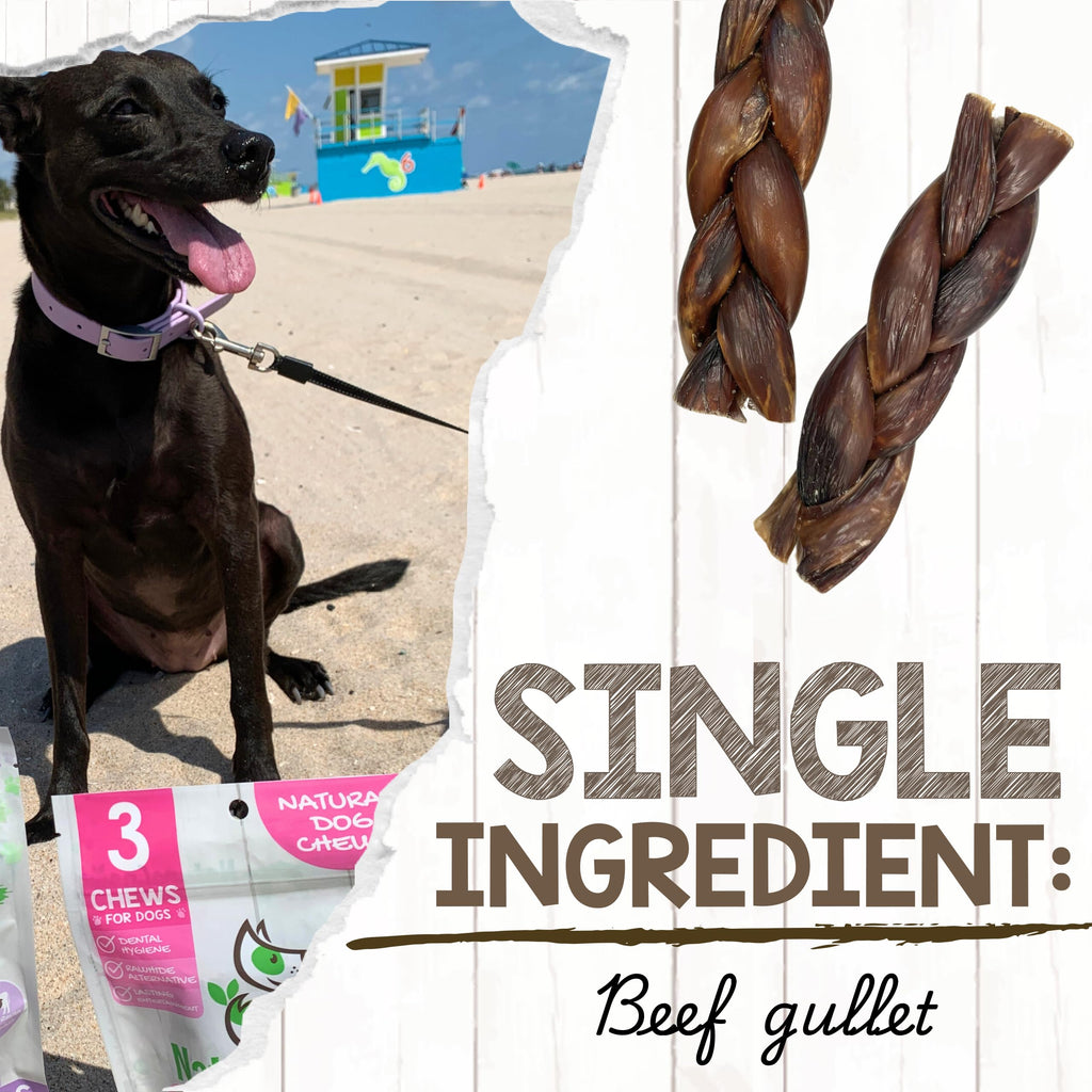 Nature Gnaws Beef Gullet Chews for Small Dogs 4-5" (20 Count) - Natural Beef Jerky Stick Dog Chew Treats - Rawhide Free