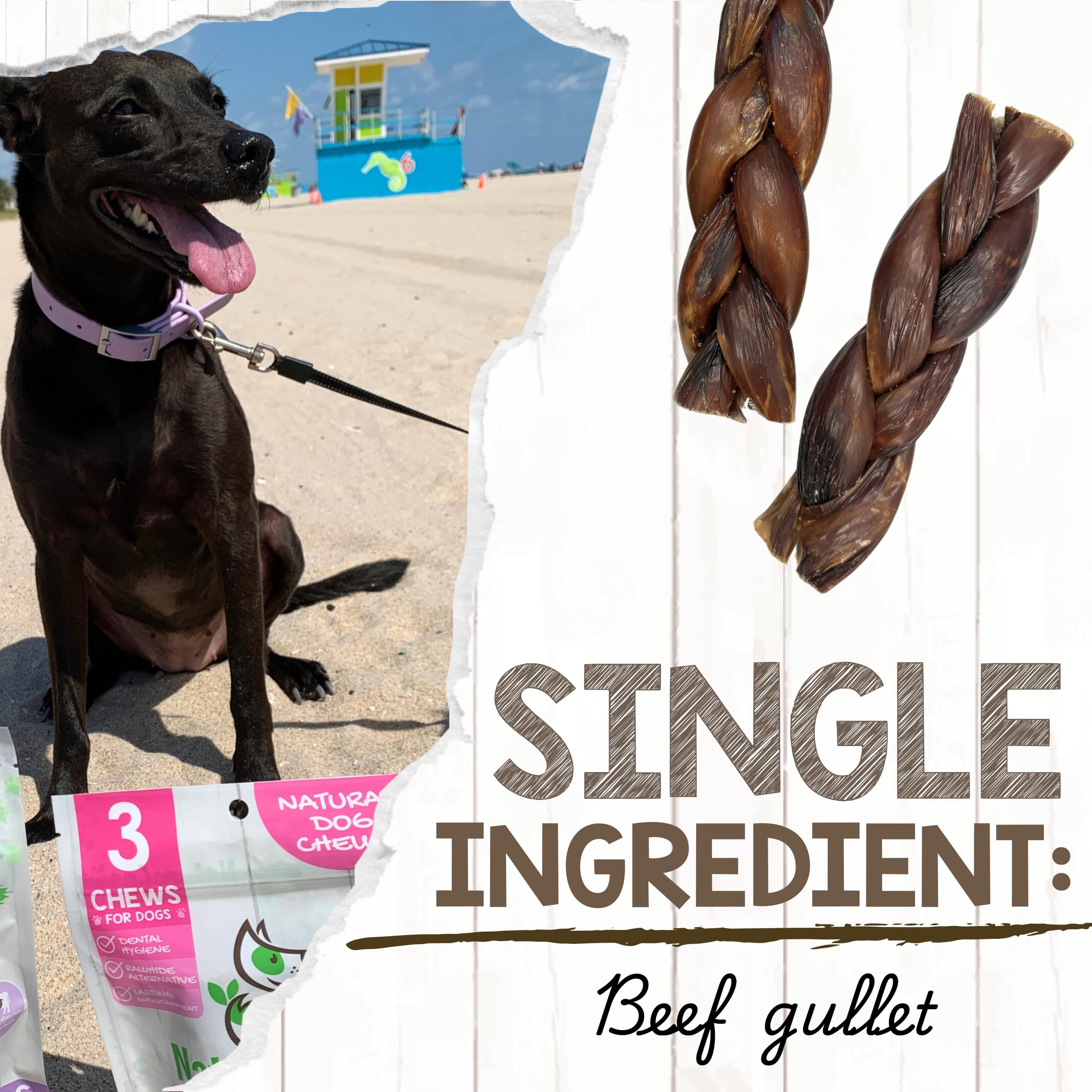Nature Gnaws Beef Gullet Chews for Small Dogs 4-5" (20 Count) - Natural Beef Jerky Stick Dog Chew Treats - Rawhide Free