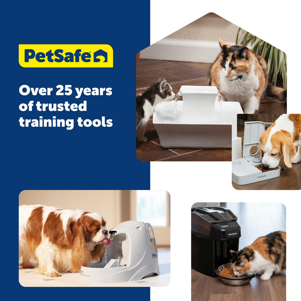 PetSafe Oasys 1 Gallon (128 Ounce) Pet Fountain - Cat or Small to Medium Breed Dog Water Fountain - Dishwasher Safe Filtered Water Dispenser with Flow Control - Filters Included - Easy to Clean
