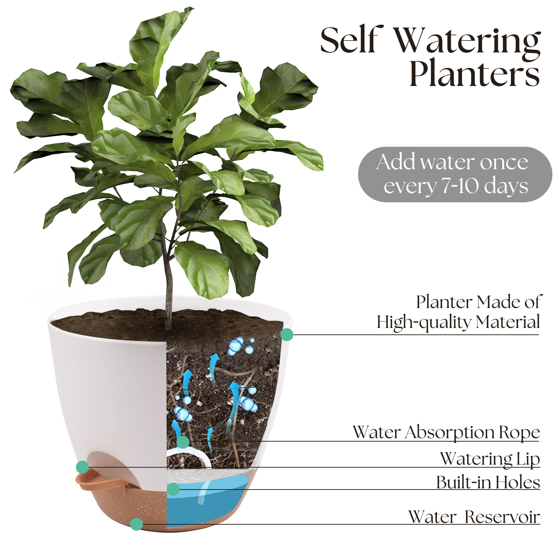 TYMENSH Plant Pots 12/10/9 Inch Set of 3, Self Watering Planters with Drainage Holes and Water Reservoir, Heavy Duty Plastic Flower Pots for Indoor Outdoor Plants, Green