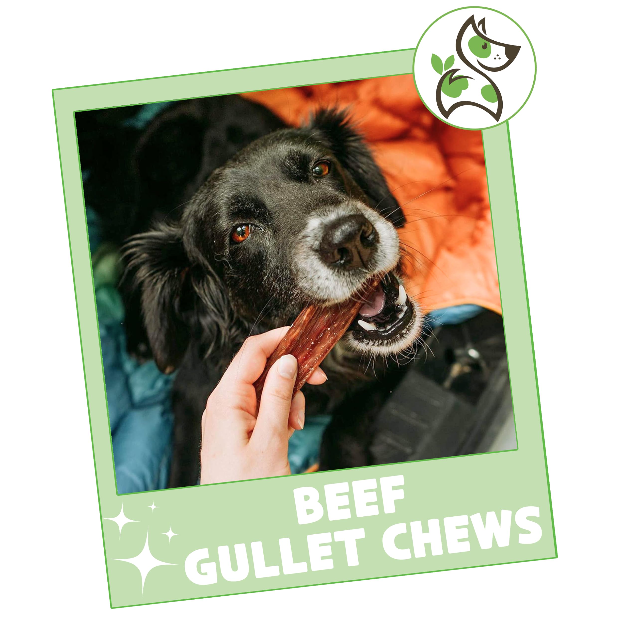 Nature Gnaws Beef Gullet Chews for Small Dogs 4-5" (20 Count) - Natural Beef Jerky Stick Dog Chew Treats - Rawhide Free