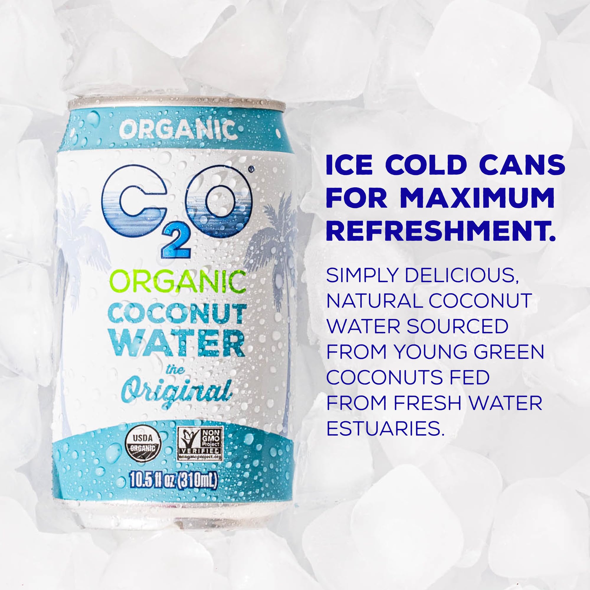 C2O - Coconut Water with Ginger, Lime, & Turmeric (12 Pack) - Made with Fresh Coconut Water - Plant Based - Non GMO - Canned Water - Natural Hydration, Electrolytes, & Potassium - 12 Cans, 17.5 FL OZ