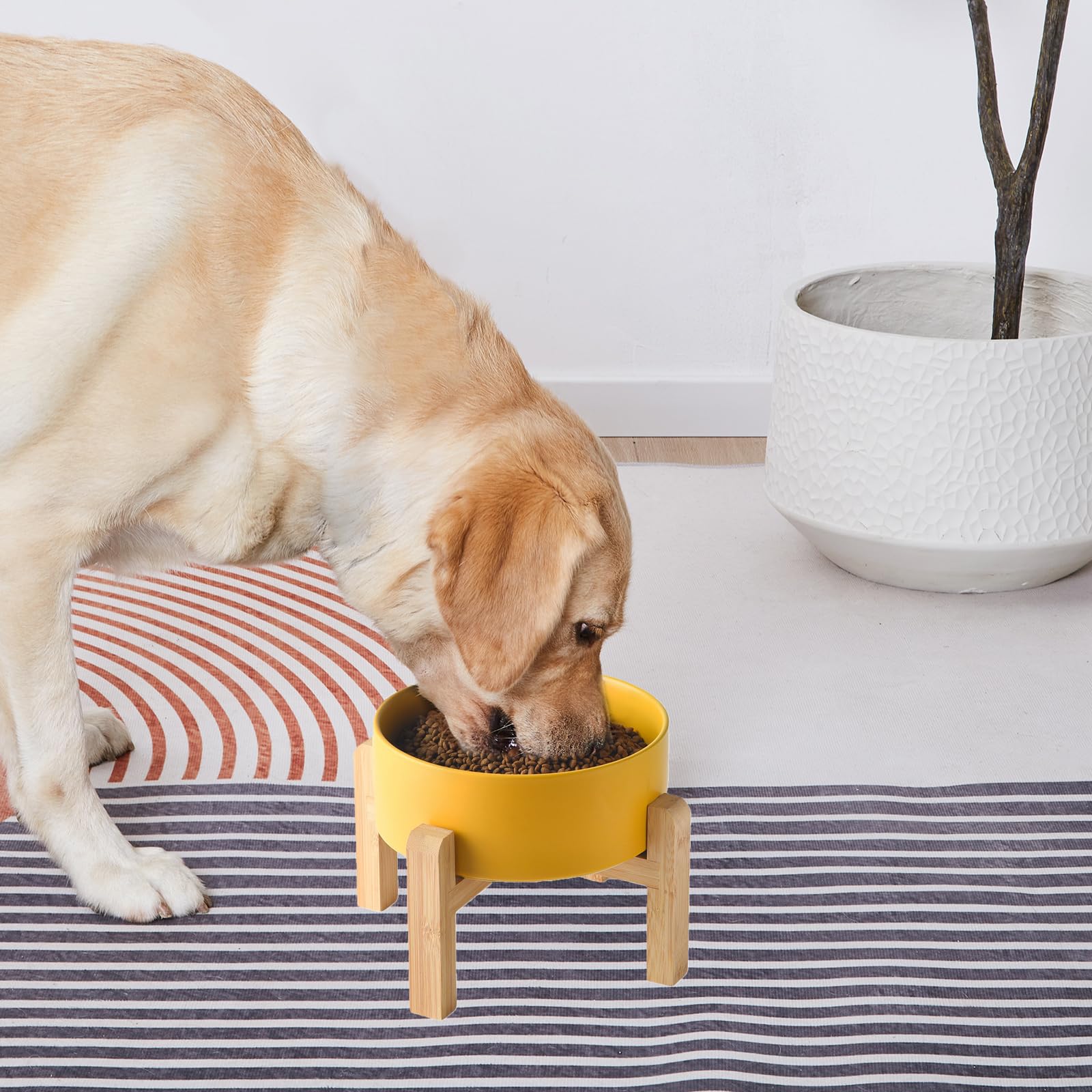 6'' Ceramic Raised Dog Bowl - 30Oz Dog Food & Water Bowl with Elevated Non-Slip Bamboo Stand, Dishwasher & Microwave Safe, Anti Vomiting Heavy Duty Pet Bowl for Small and Medium Dogs, Black