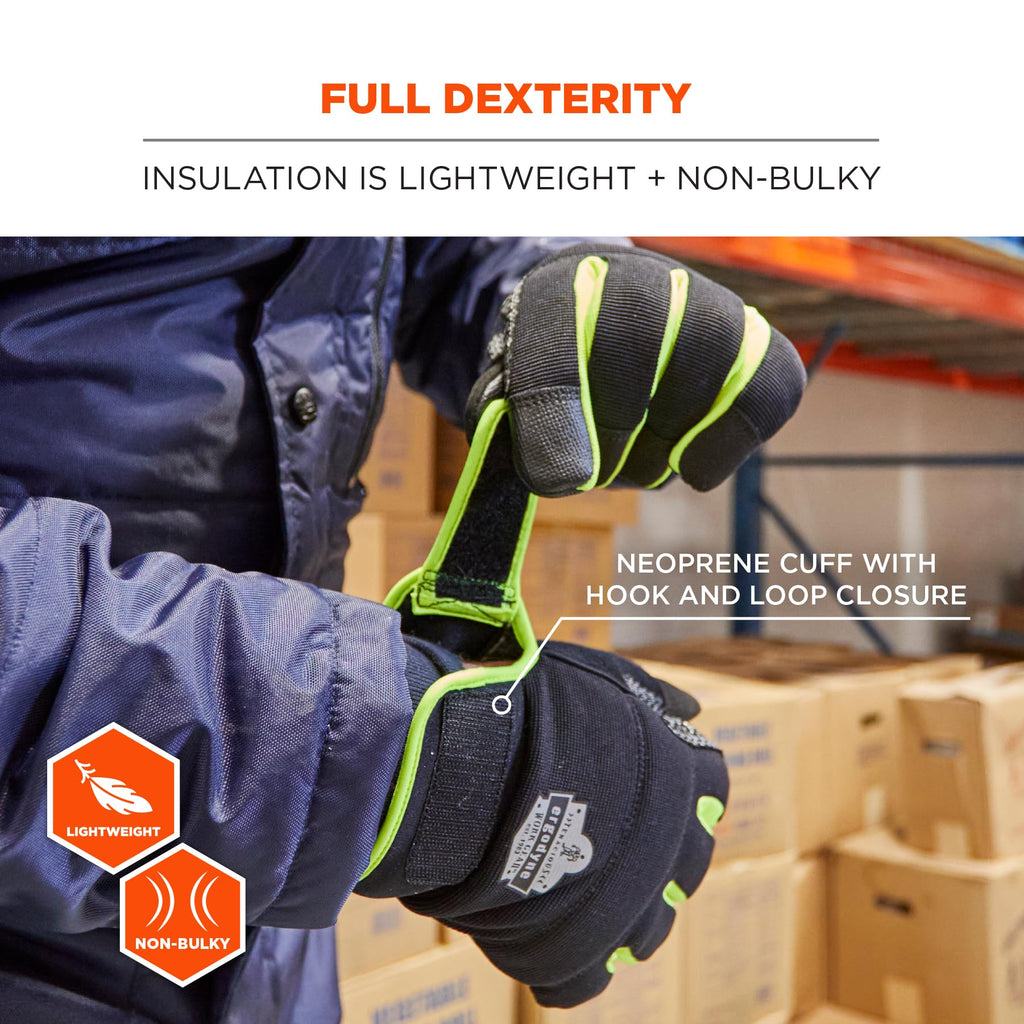Ergodyne Unisex Adult Proflex 850 Insulated Freezer Gloves