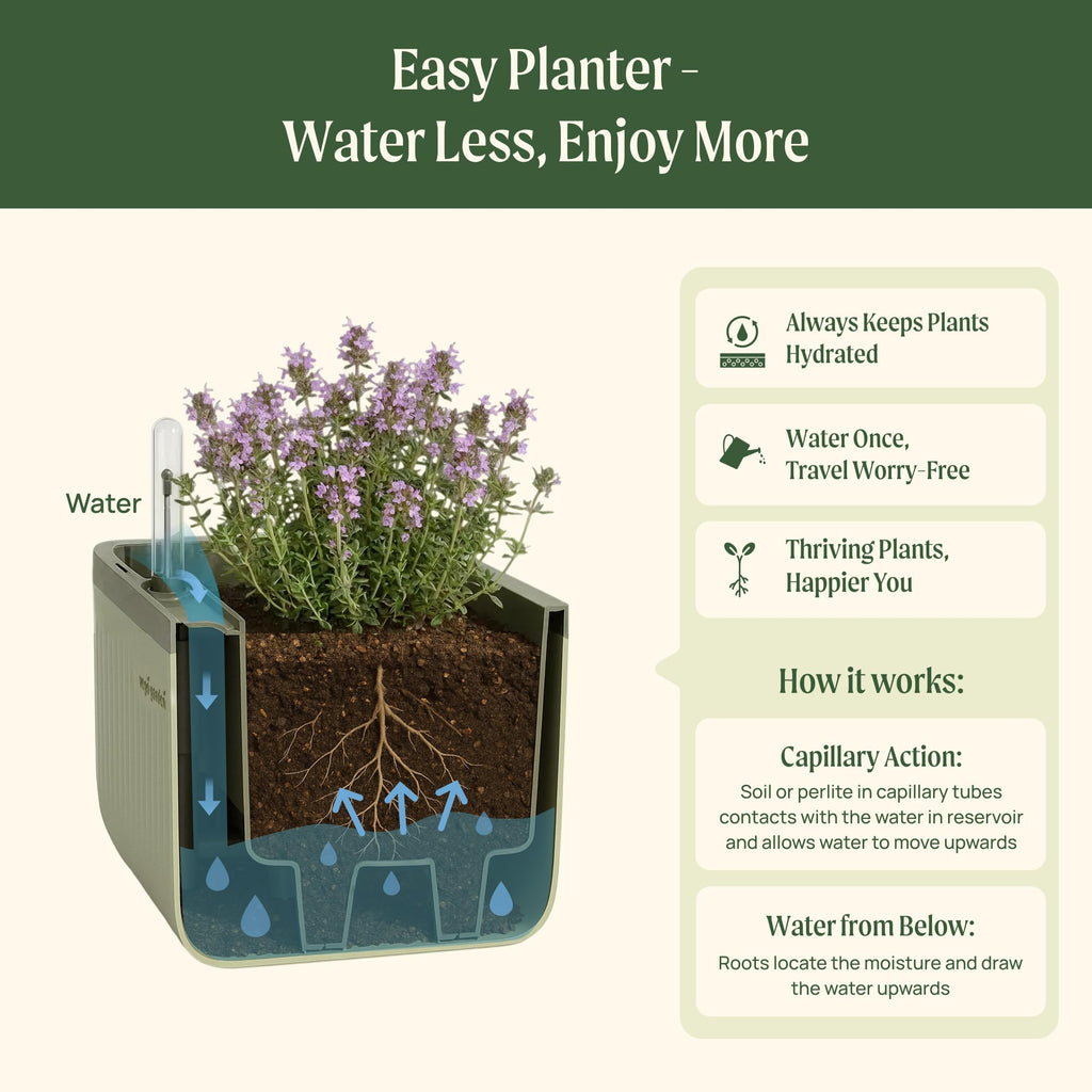 Vego Garden Herb Indoor Plant Box, Self Watering Planters Pots for Indoor Plants with Trellis for Kitchen Window Sill or Countertop Plants Cage - Fog Gray