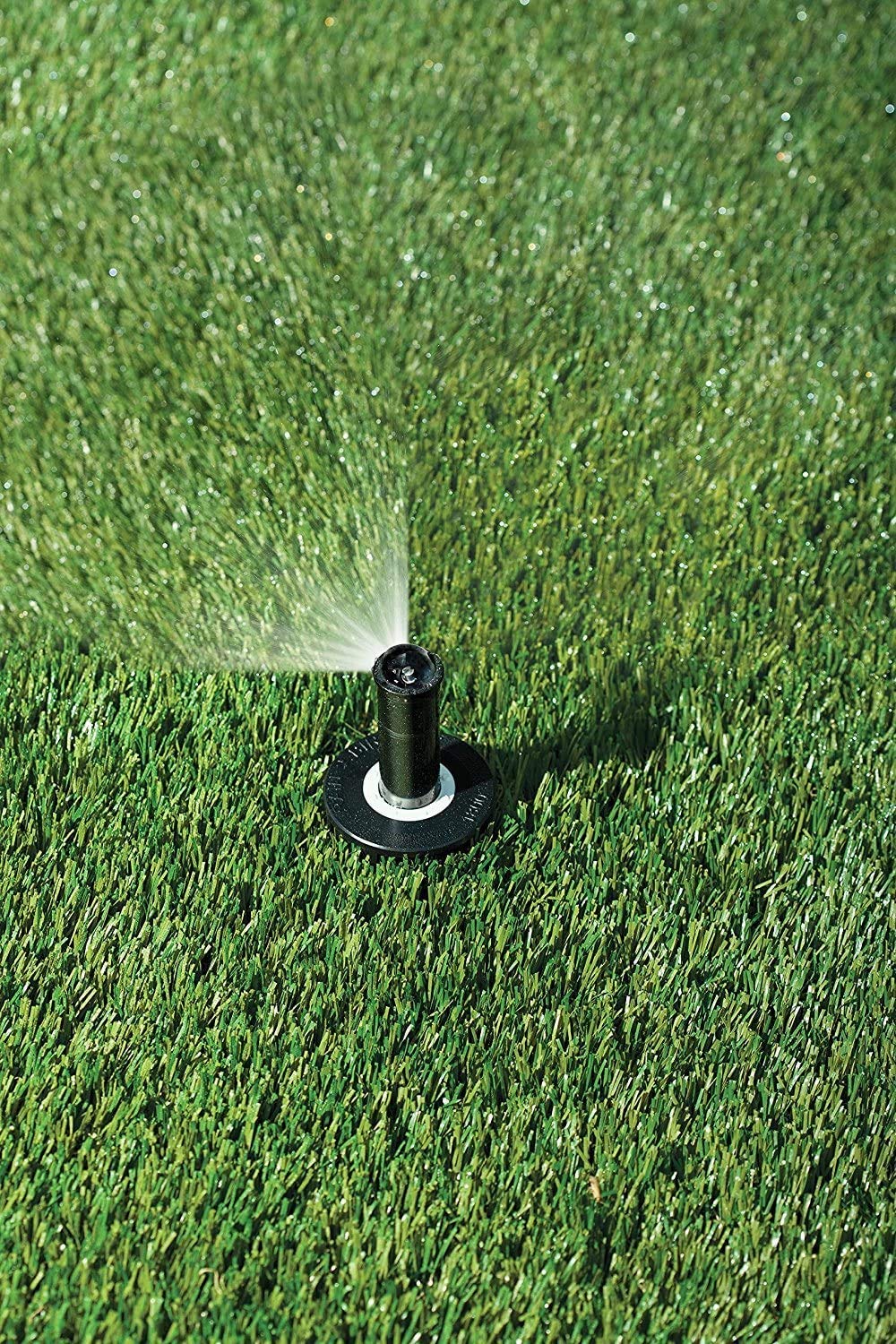 Rain Bird 1802AP4PRS PRS Professional Pop-Up, Full Circle, 3-4 Feet, 2"
