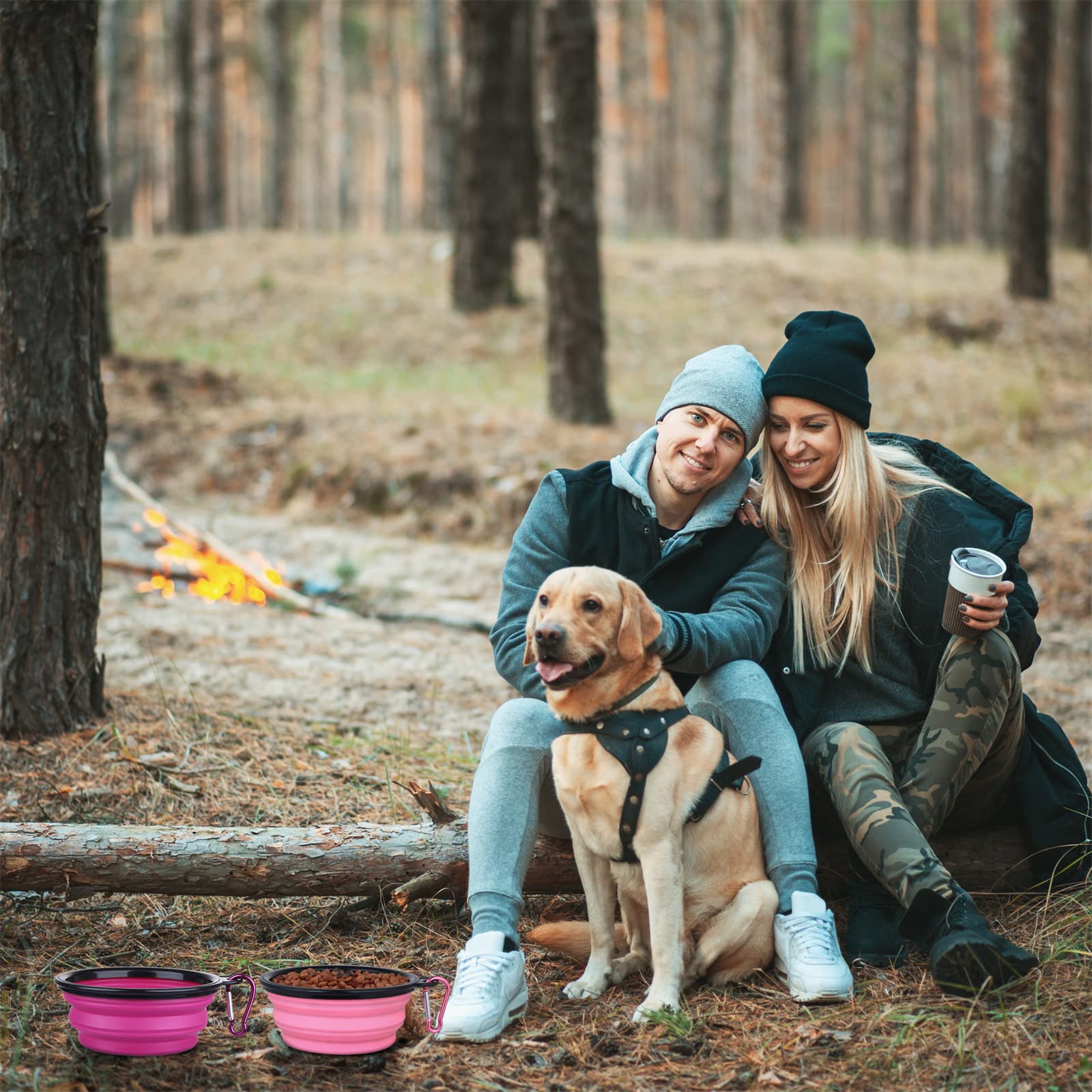 Dog Bowl Pet Collapsible Bowls, 2 Pack Collapsible Dog Water Bowls for Cats Dogs, Portable Pet Feeding Watering Dish for Walking Parking Traveling with 2 Carabiners (Small, Black & Pink)
