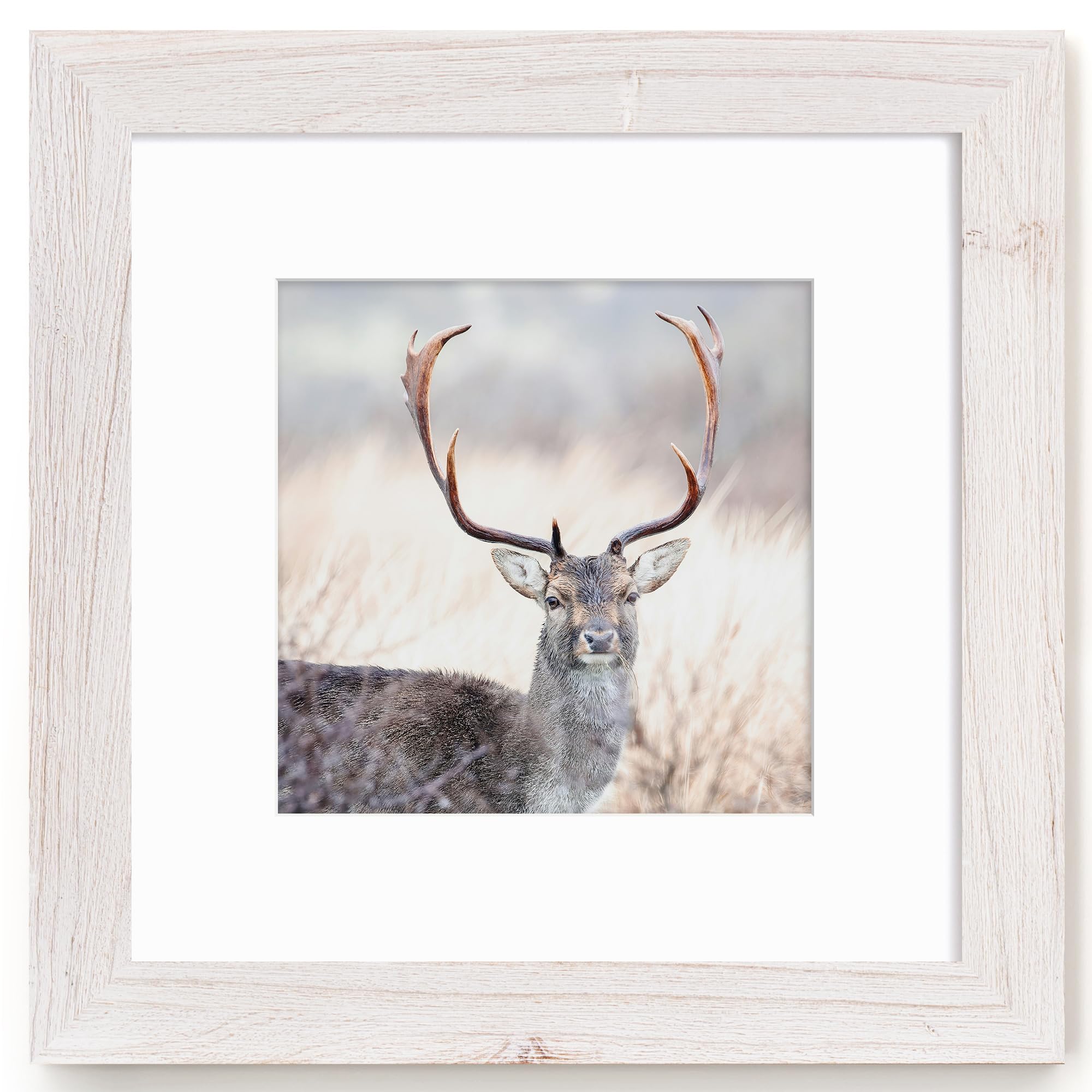 Fun Memories 5x7 Picture Frame with Mat for 4x6 Photo, Solid Elm Wood & Tempered Glass, Rustic Wall & Tabletop Display Frame, Grey, 1 Pack