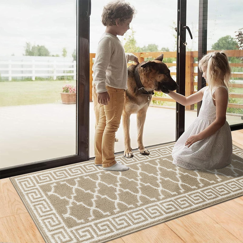 Pauwer Door Mat Indoor Entrance 20"x60" Absorbent Dirt Trapper Welcome Mats for Front Door Washable Entryway Rugs Ultra Thin Doormat Non Slip Runner Rugs for Hallway Kitchen Laundry Room, Beige