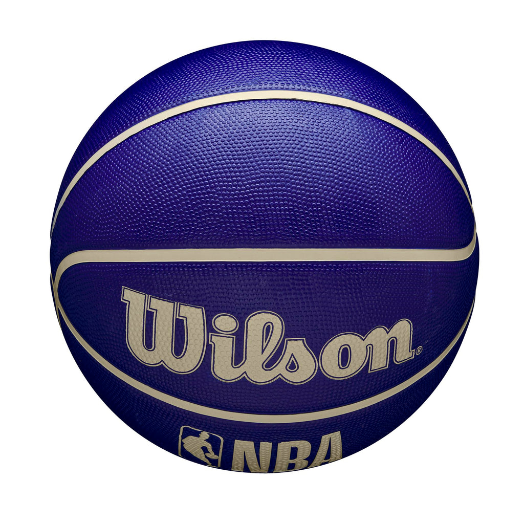WILSON NBA DRV Outdoor Basketball - Indigo/Beige, Size 5-27.5"