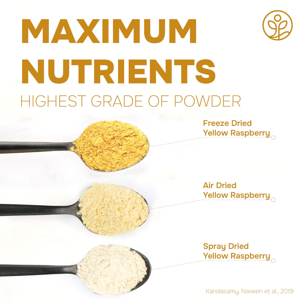 Jungle Powders Raspberry Powder 3.5 Ounce Bag, Food Grade Powdered Unsweetened Freeze Dried Raspberries, Additive, Filler Free Red Superfood Extract for Baking Cooking Flavoring Rasberries Smoothies