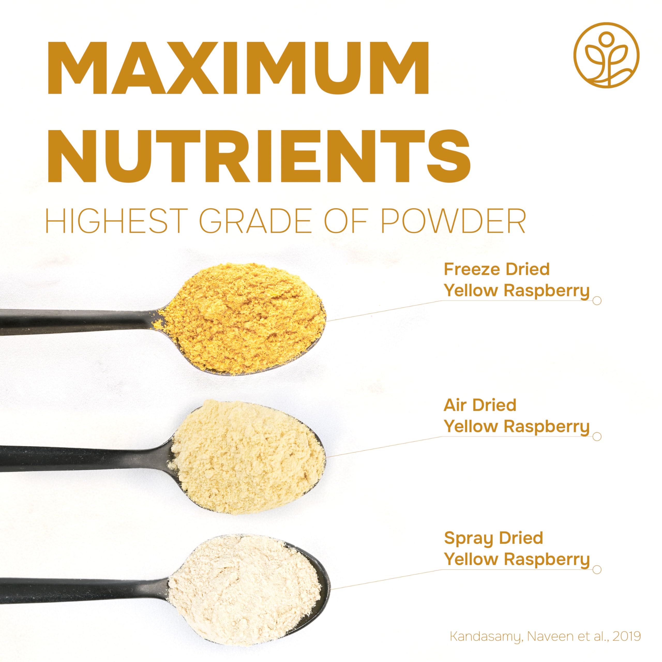 Jungle Powders Raspberry Powder 3.5 Ounce Bag, Food Grade Powdered Unsweetened Freeze Dried Raspberries, Additive, Filler Free Red Superfood Extract for Baking Cooking Flavoring Rasberries Smoothies