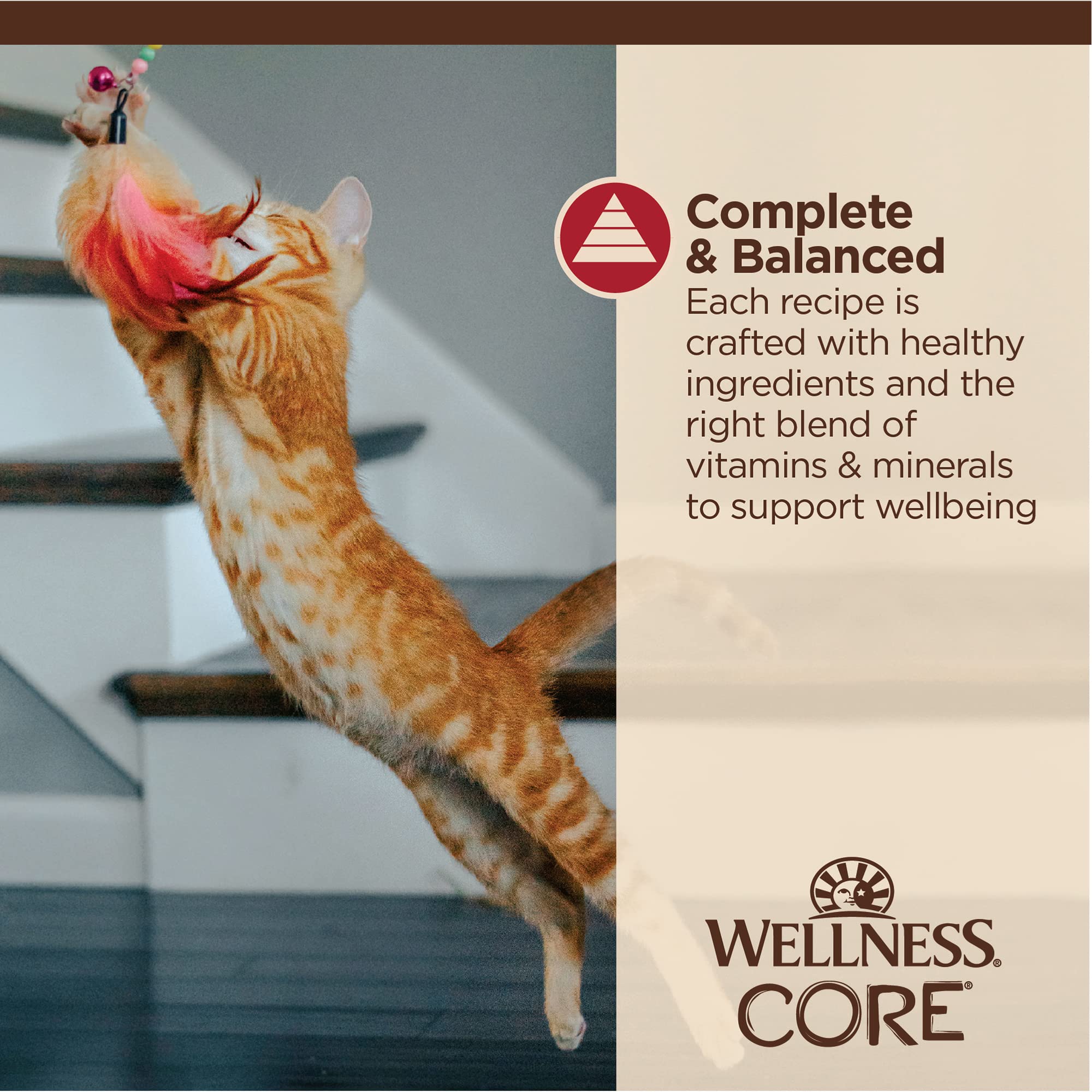 Wellness CORE Tiny Tasters Pate Adult Wet Cat Food, Natural, Protein Rich, Grain Free, Chicken Recipe, 1.75 oz, Pack of 12 Pouches