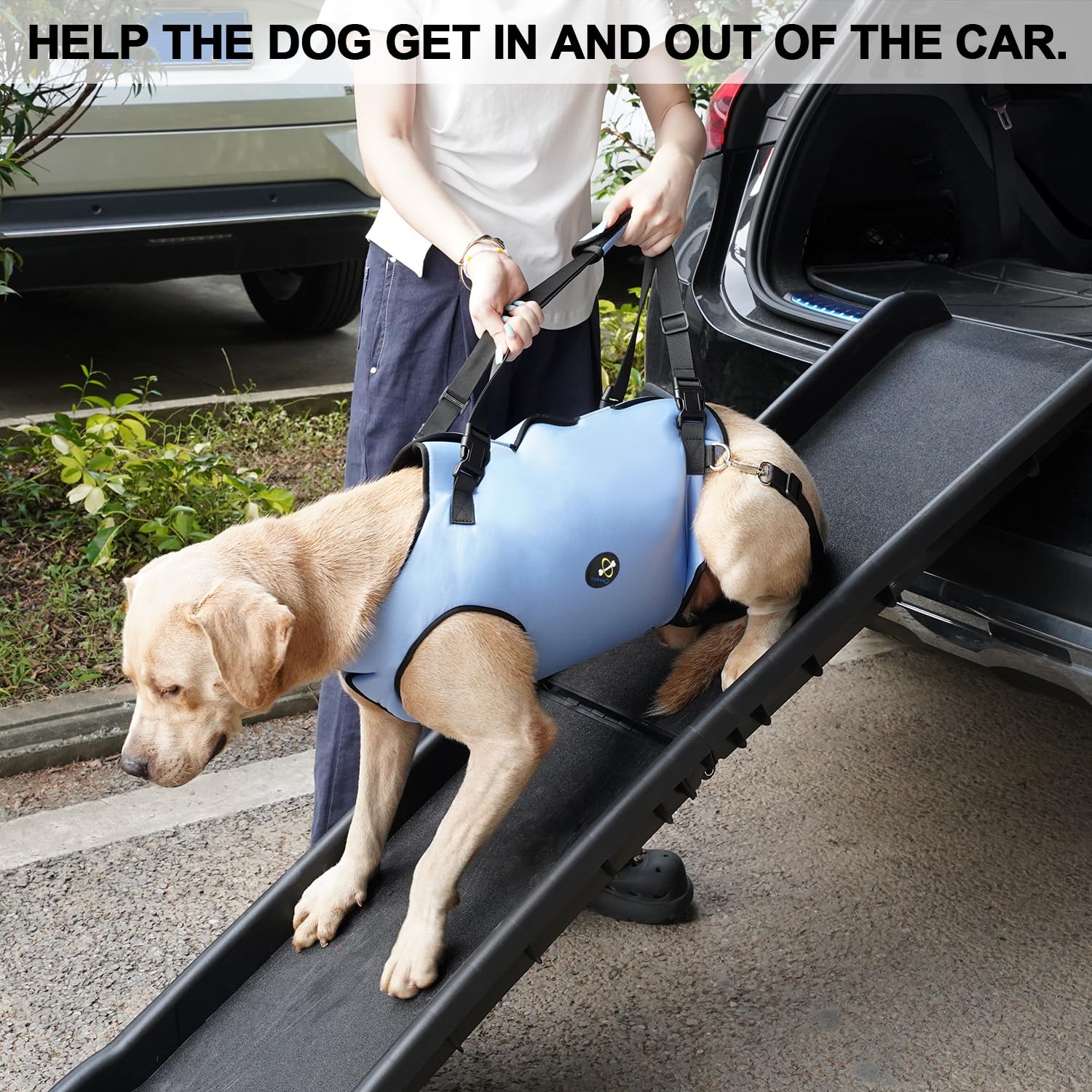 Coodeo Dog Lift Harness, Pet Support & Rehabilitation Sling Lift Adjustable Padded Breathable Straps for Old, Disabled, Joint Injuries, Arthritis, Loss of Stability Dogs Walk (Black, XS)