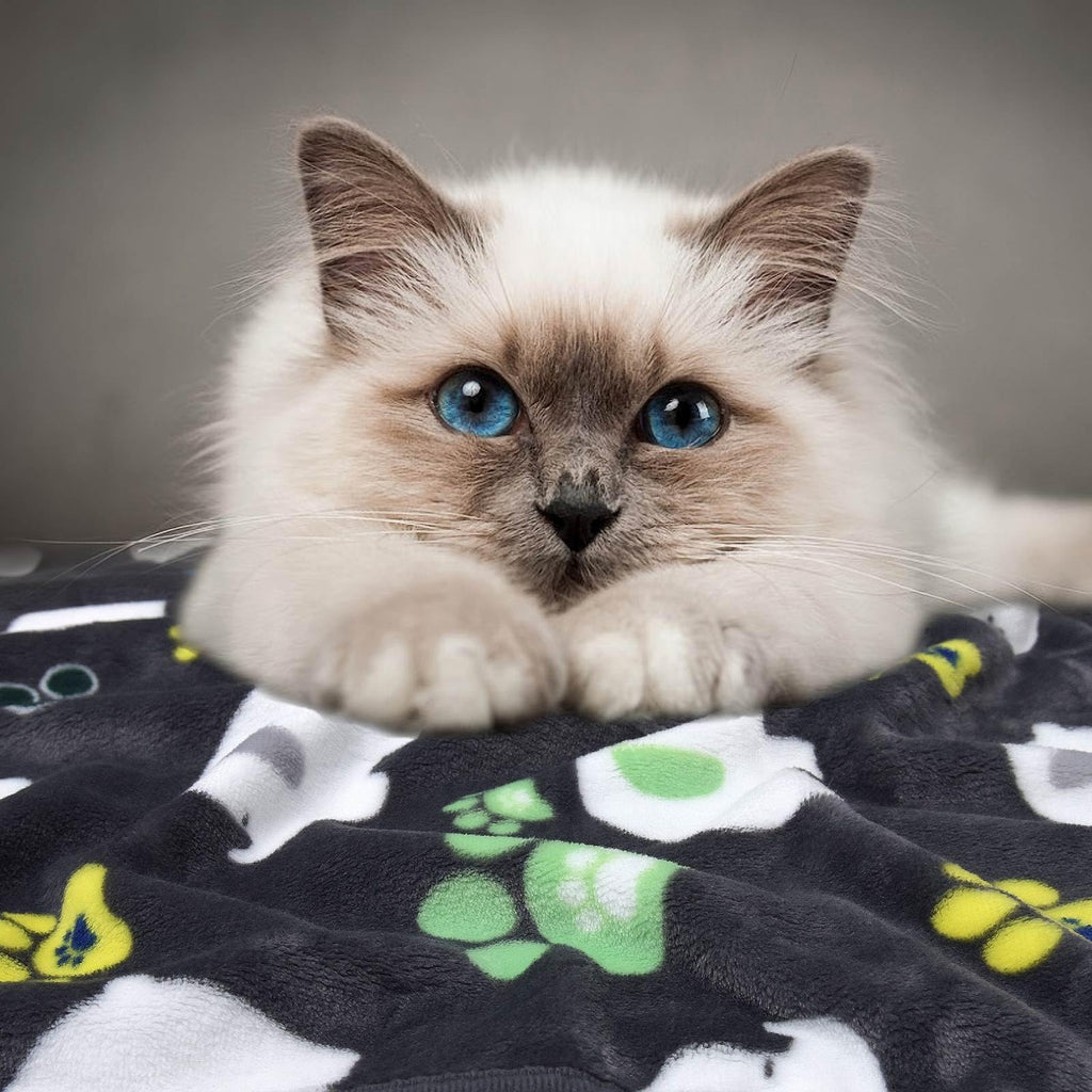Rezutan 1 Pack 3 Dog Blanket for Large Dogs,41x31 inch for Medium Soft Fluffy Washable Pet Cat Blankets,Reversible Elephant & Paw Print for Dog Kennels & Beds, Sofas, Blue