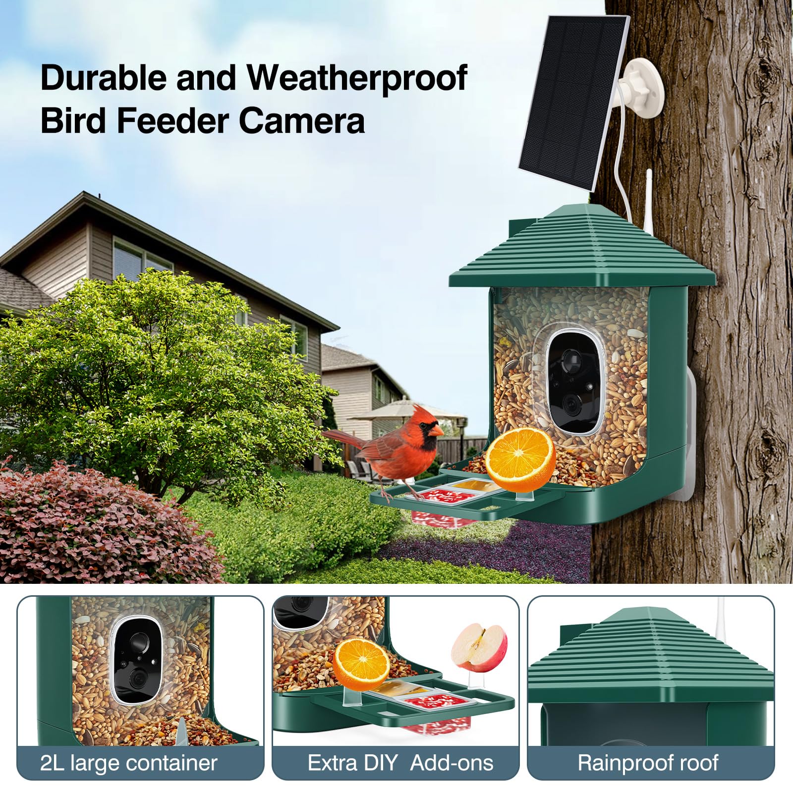Smart Bird Feeder with Camera,AI Identify Species,Bird House with Solar Powered,Instant Arrival Alerts,2K Capture Video,Live View for Lover (Blackish Green)