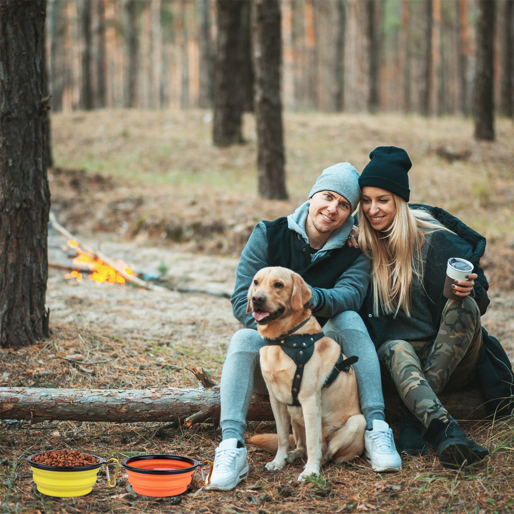 Dog Bowl Pet Collapsible Bowls, 2 Pack Collapsible Dog Water Bowls for Cats Dogs, Portable Pet Feeding Watering Dish for Walking Parking Traveling with 2 Carabiners (Small, Black & Pink)
