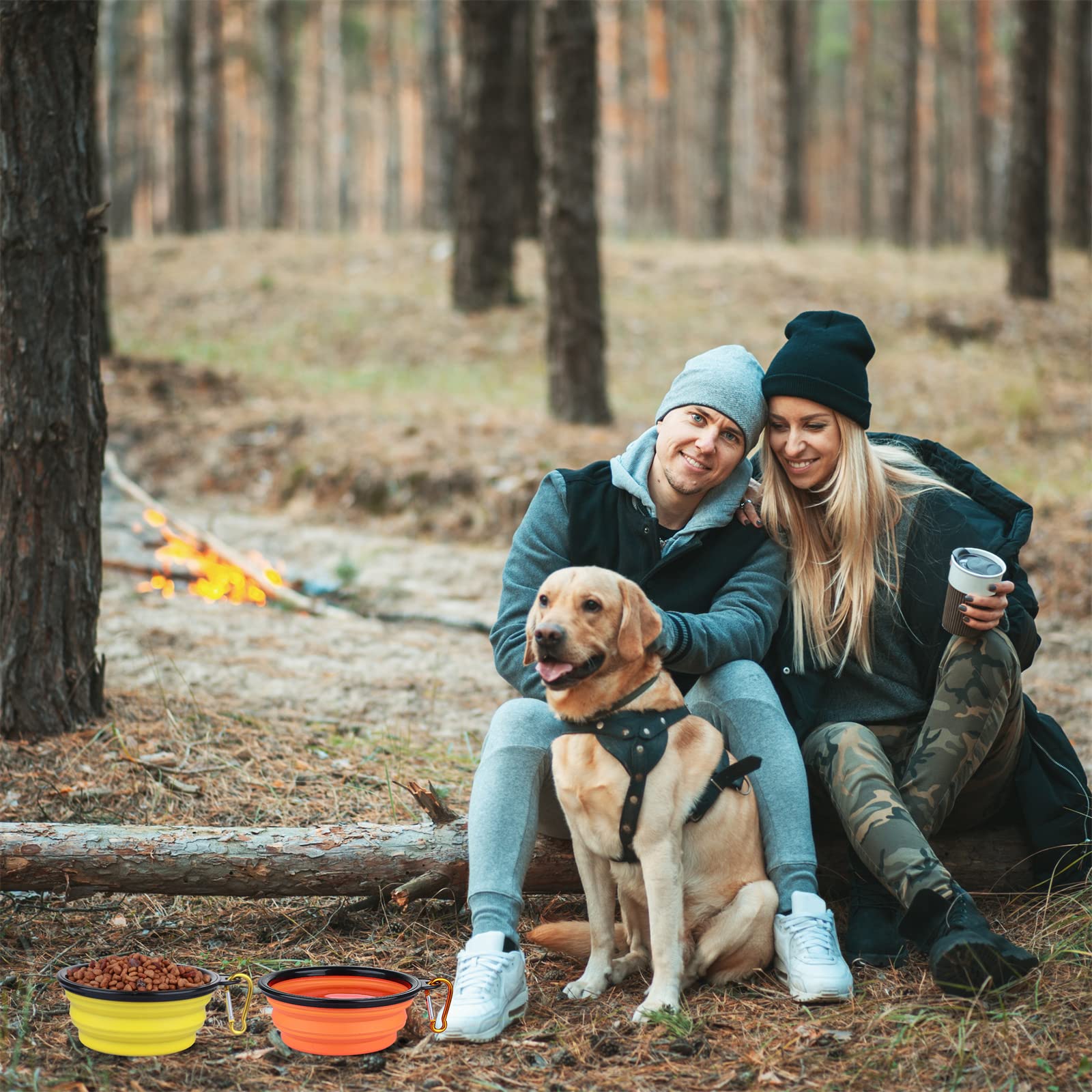 Dog Bowl Pet Collapsible Bowls, 2 Pack Collapsible Dog Water Bowls for Cats Dogs, Portable Pet Feeding Watering Dish for Walking Parking Traveling with 2 Carabiners (Small, Black & Pink)