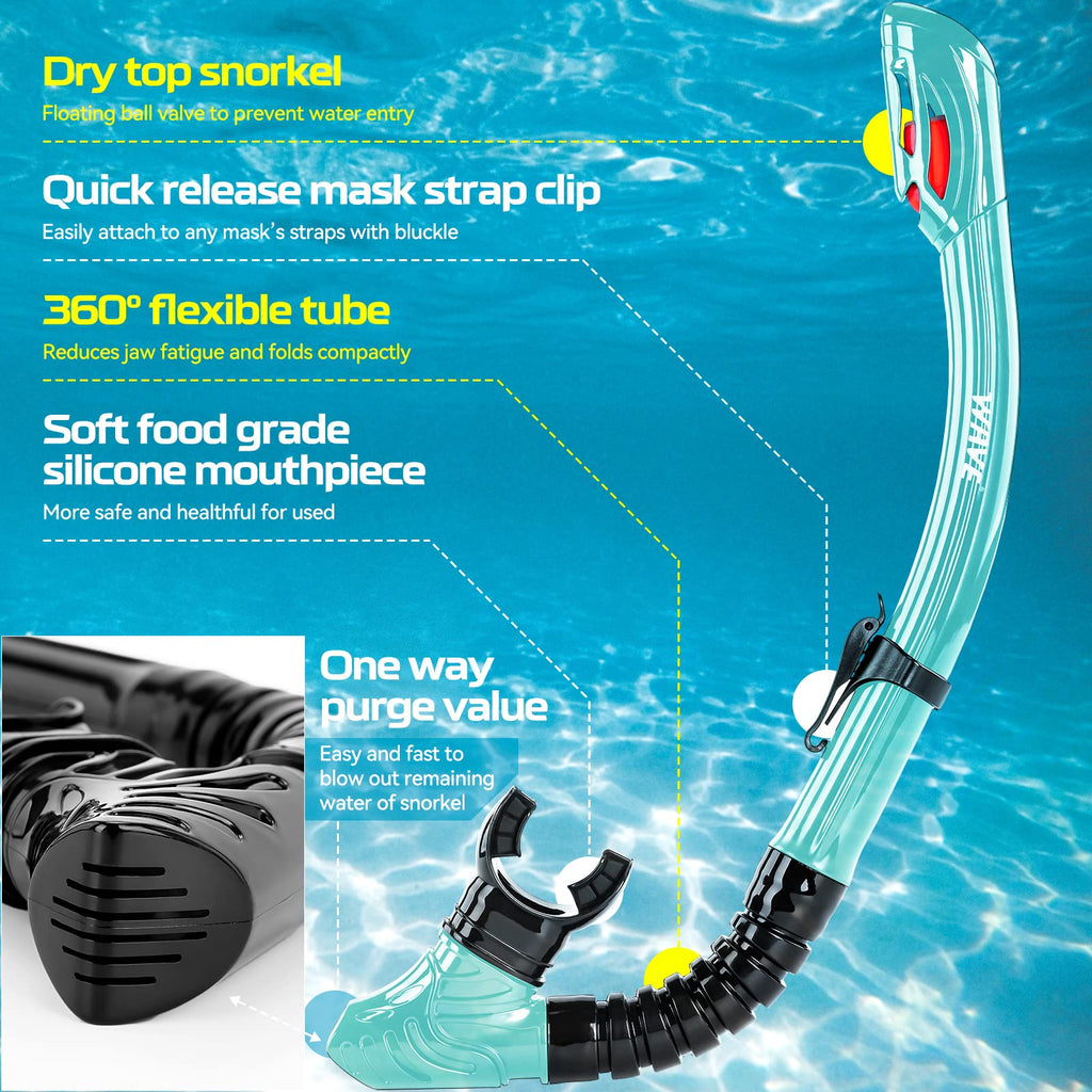 Nearsighted Snorkel Gear, Nearsighted Dry Snorkel Mask Set for Adult Youth, Nearsighted Anti Fog Diving Mask with Detachable Camera Mount & Adjustable Strap for Scuba Diving, Snorkeling, Freediving