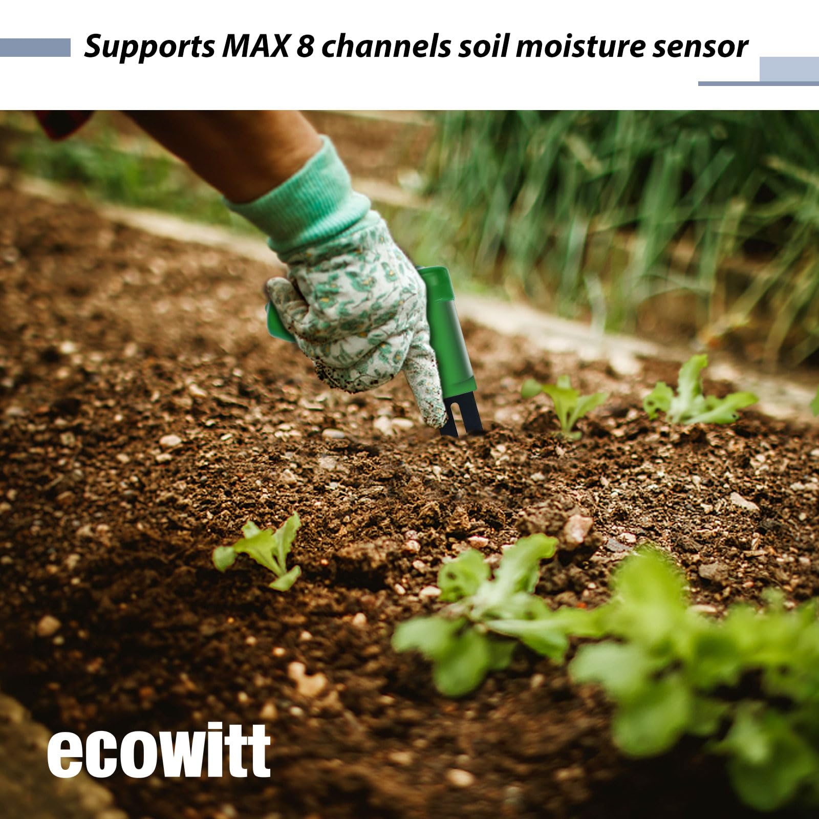 ECOWITT GW1206 Soil Moisture Tester Kit, Includes GW1200 IoT Wi-Fi Gateway and WH51 Soil Moisture Sensor, 915 MHz