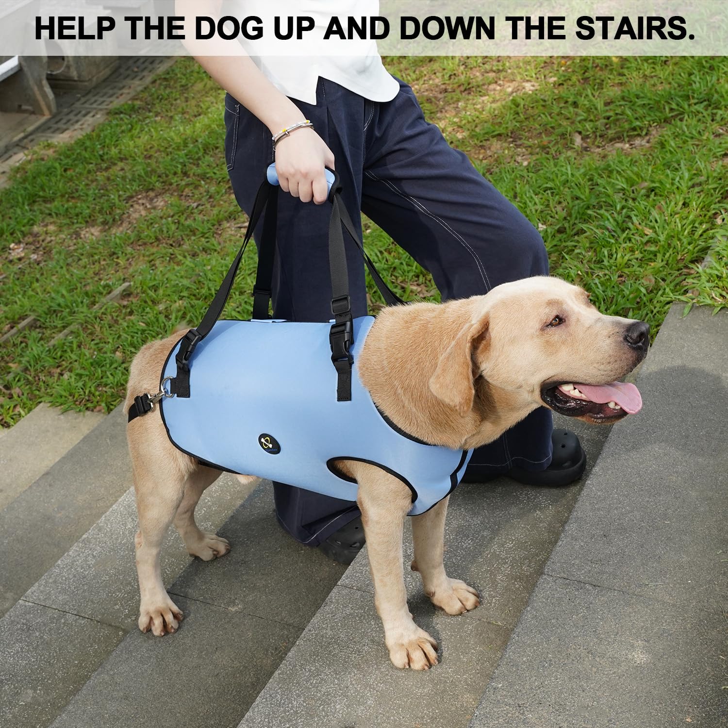Coodeo Dog Lift Harness, Pet Support & Rehabilitation Sling Lift Adjustable Padded Breathable Straps for Old, Disabled, Joint Injuries, Arthritis, Loss of Stability Dogs Walk (Black, XS)