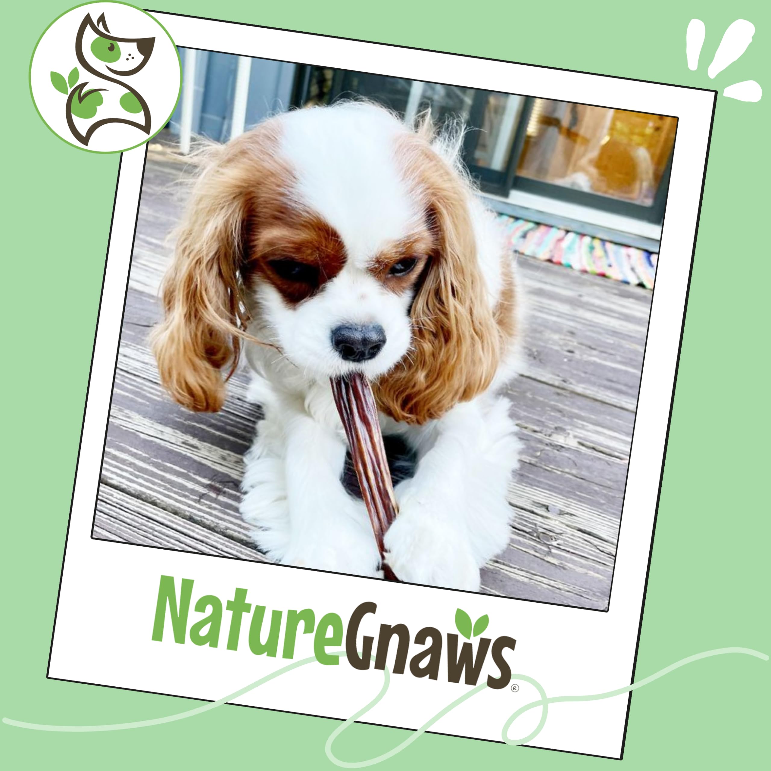 Nature Gnaws Beef Gullet Chews for Small Dogs 4-5" (20 Count) - Natural Beef Jerky Stick Dog Chew Treats - Rawhide Free
