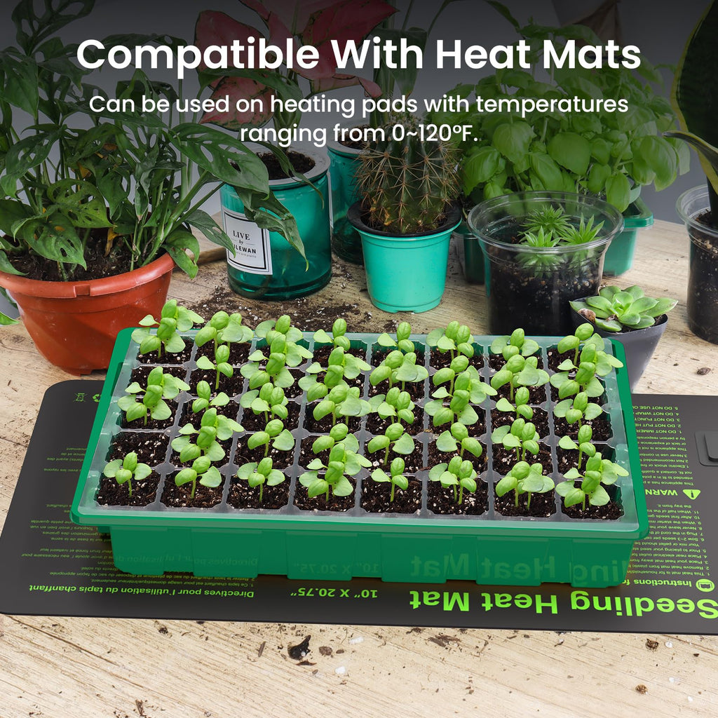 MIXC Seed Starter Tray with Lights, 2 Packs Mini Propagator Plant Grow Kit Greenhouse with Humidity Vented Domes and Base for Seeds Starting, Black