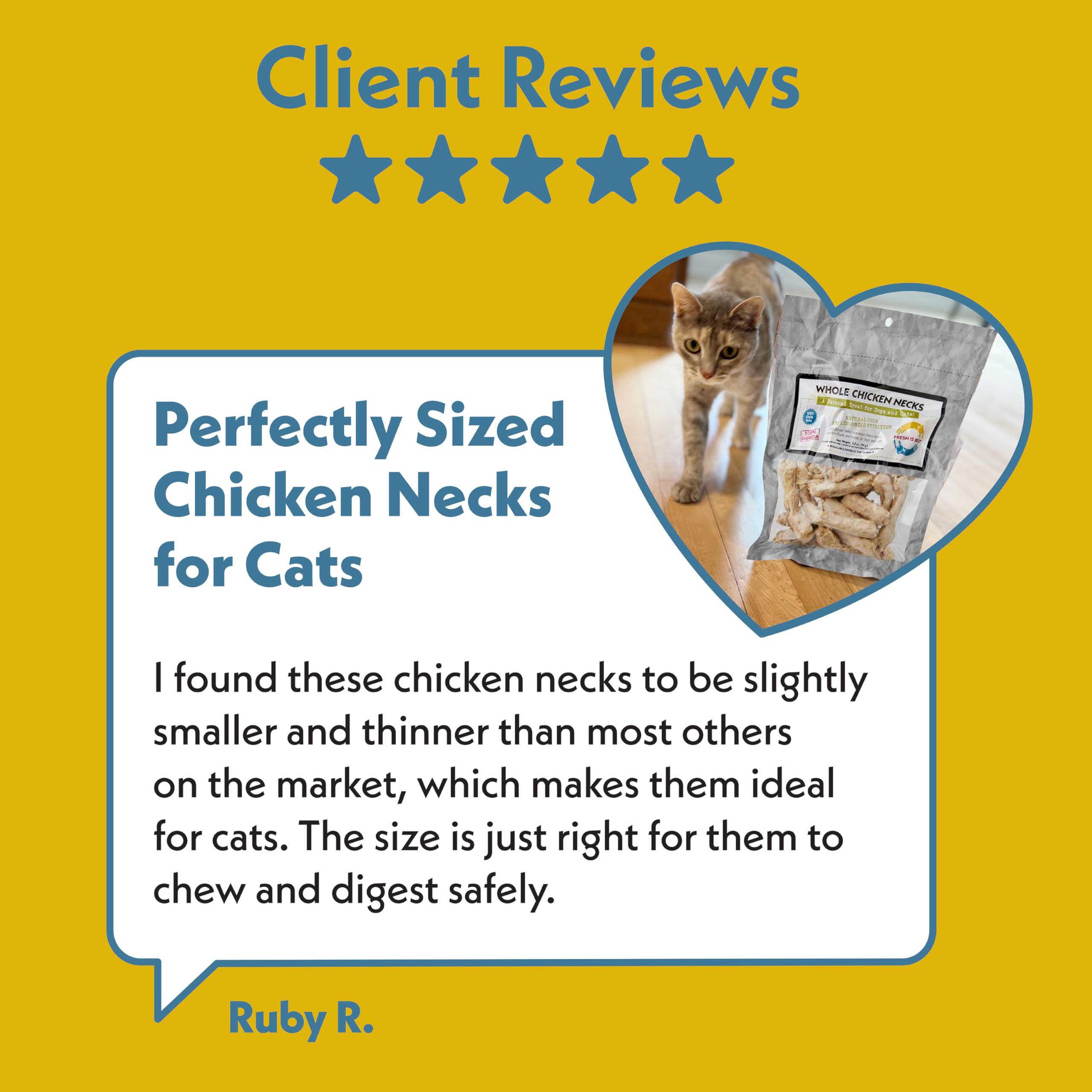 Fresh Is Best Freeze Dried Dog Treats - Raw Freeze Dried Chicken Breast for Dogs & Cats - Healthy Dog Training Treats in Resealable Zipper Bag - High-Protein Single Ingredient - Made in the USA