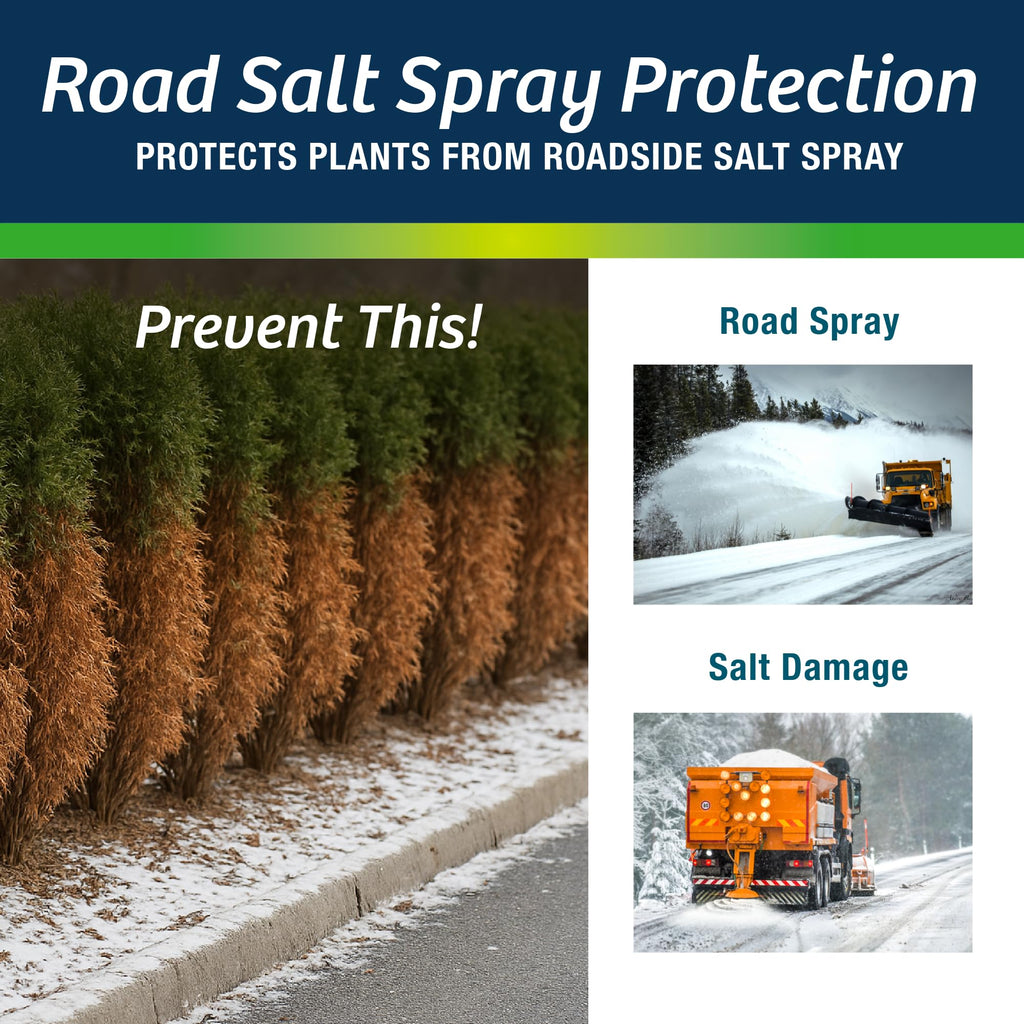 Wilt-Pruf® Concentrate | Protect Against Winter Damage, Drought, and Stress | Just Spray & Let Dry | Locks in Moisture w/Clear Foliar Film | Professional-Grade & Trusted | Replaces Burlap | (1 Gal)