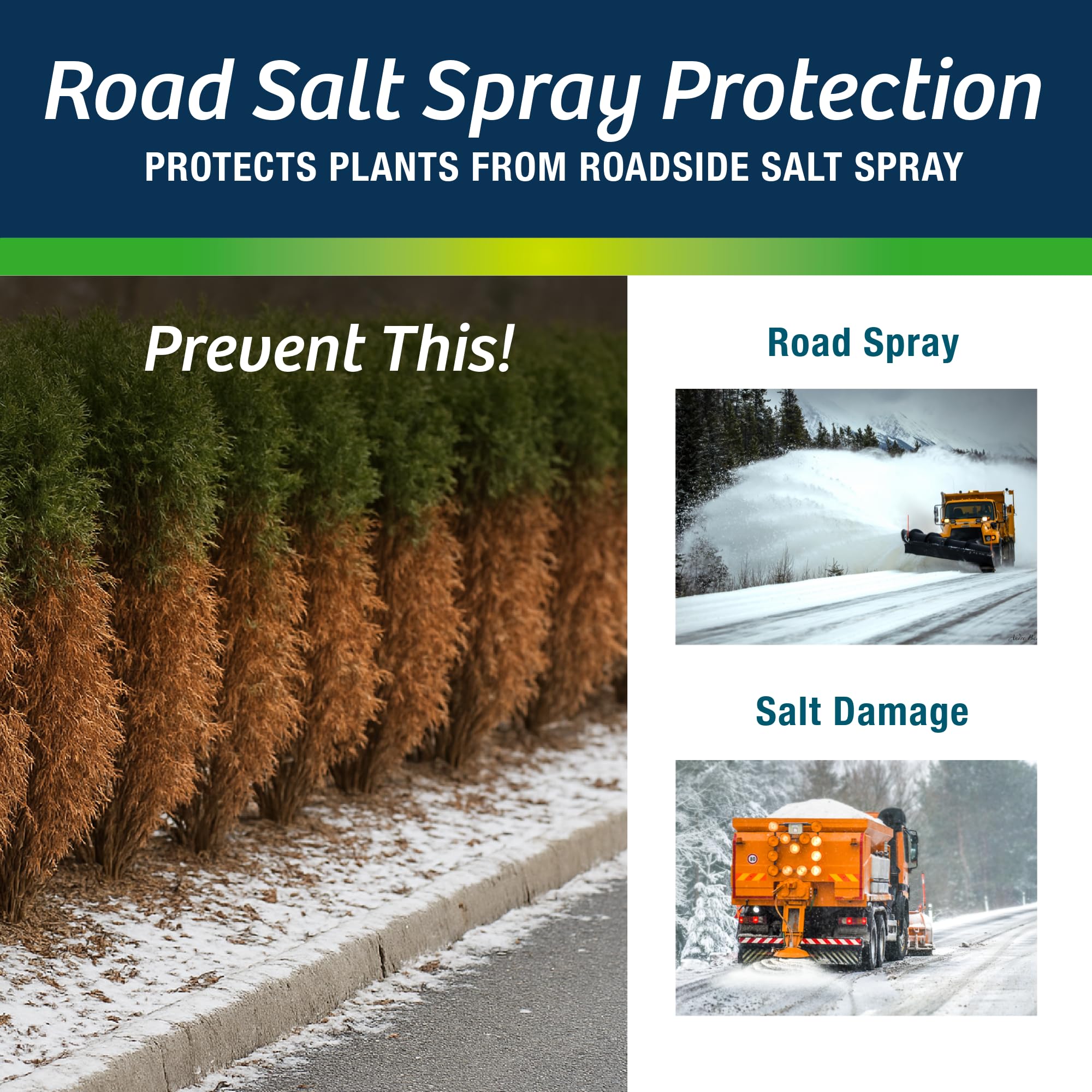 Wilt-Pruf® Concentrate | Protect Against Winter Damage, Drought, and Stress | Just Spray & Let Dry | Locks in Moisture w/Clear Foliar Film | Professional-Grade & Trusted | Replaces Burlap | (1 Gal)