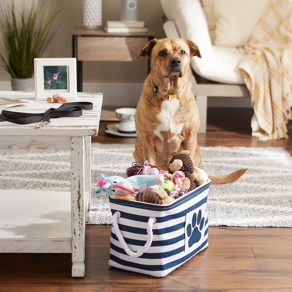 Bone Dry Pet Storage Collection Striped Paw Patch Bin, Aqua, Small Rectangle