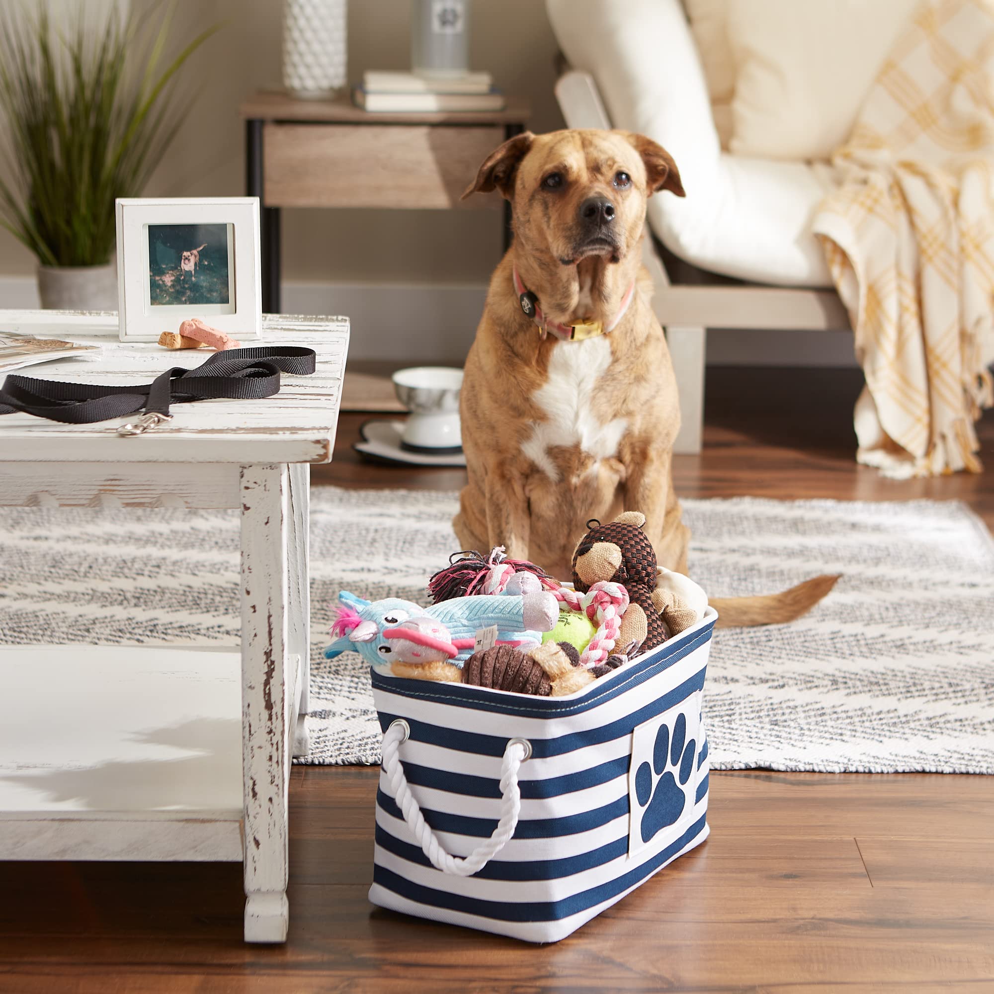 Bone Dry Pet Storage Collection Striped Paw Patch Bin, Aqua, Small Rectangle