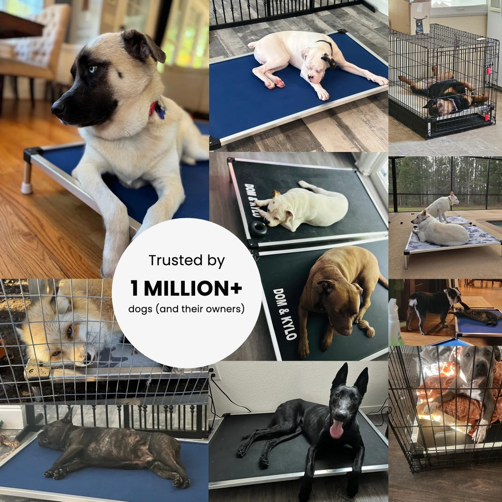 K9 Ballistics Chew Proof Elevated Cooling Outdoor Cot Bed for Small Dogs & Puppies - Virtually Indestructible, Preassembled, Withstands Aggressive Chewers - S, Black Mesh