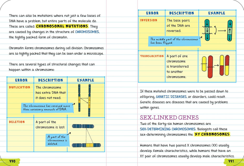 Everything You Need to Ace Biology in One Big Fat Notebook