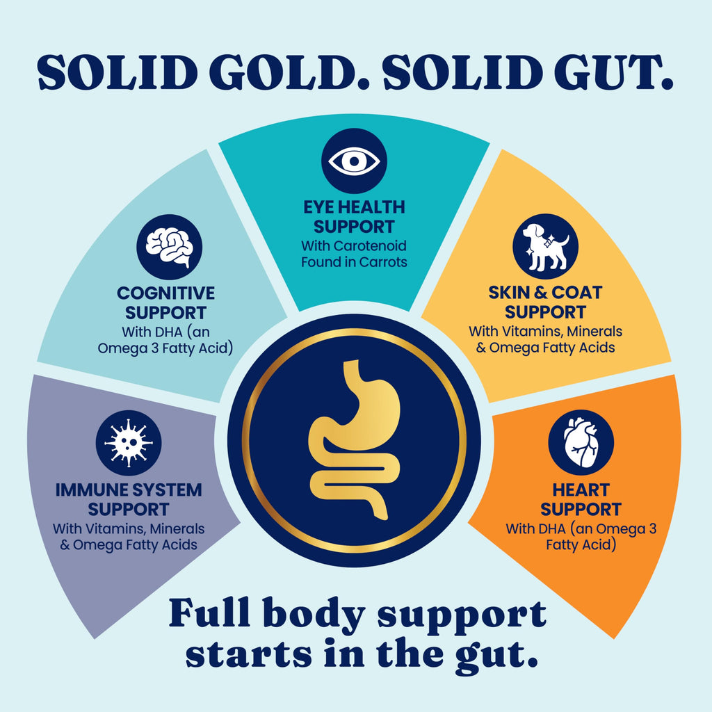 Solid Gold Toy & Small Breed Dry Dog Food Small Bites – Real Beef, Grain Free, Gluten Free, High Fiber Kibble with Probiotics for Gut Health & Digestion Support – Healthy Dog Food All Ages – 4LB