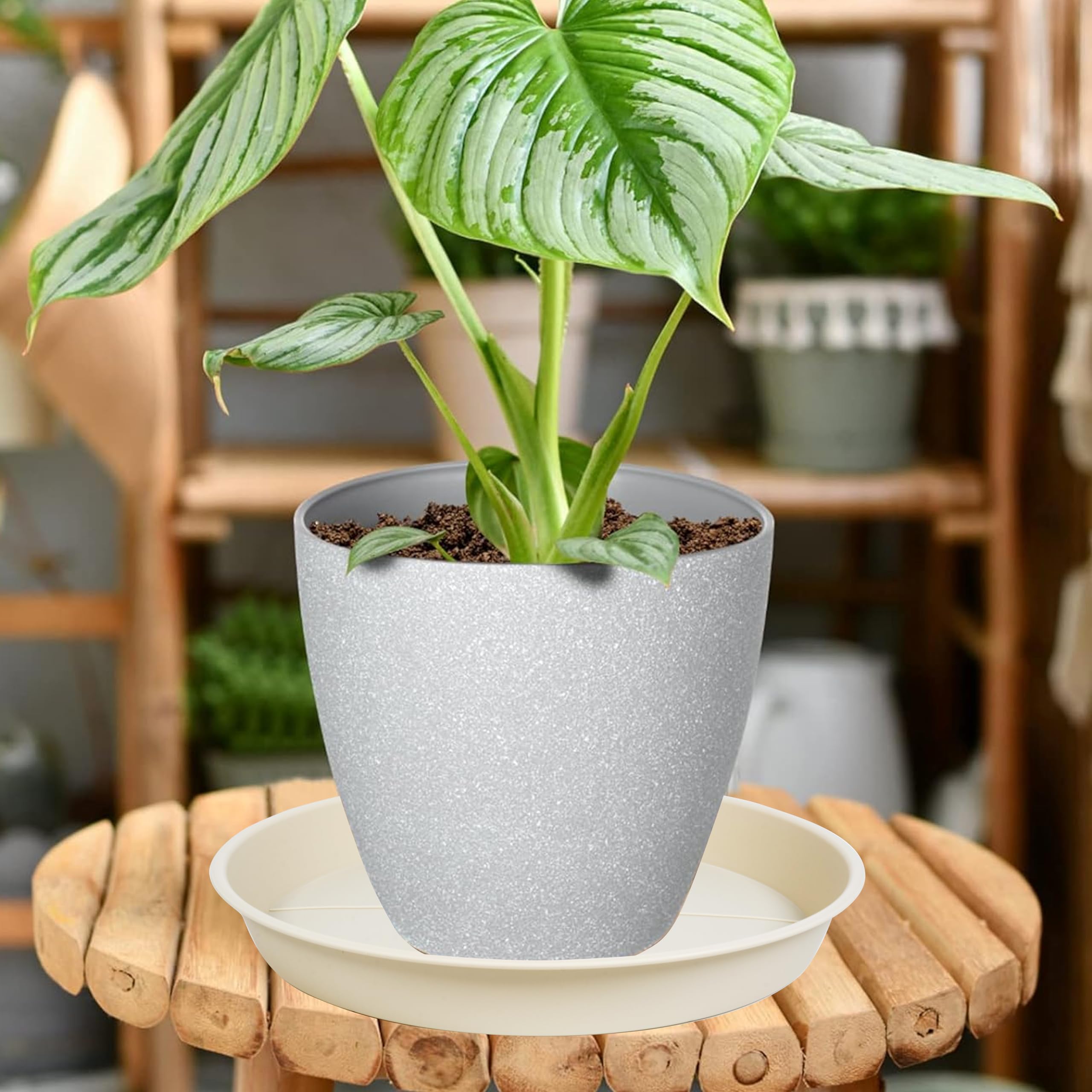 OVZILKI 6 Pack of Plant Saucer Tray 4 6 8 10 12 14 17 19 22 25 inch, Heavy Duty Plastic Pot Plant Drip Trays Saucers for Indoors Outdoor, Plant Water Tray for Planters 3-5" (4", Beige)