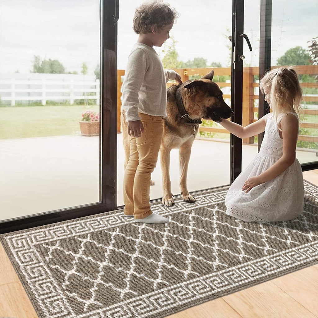Pauwer Door Mat Indoor Entrance 20"x60" Absorbent Dirt Trapper Welcome Mats for Front Door Washable Entryway Rugs Ultra Thin Doormat Non Slip Runner Rugs for Hallway Kitchen Laundry Room, Beige